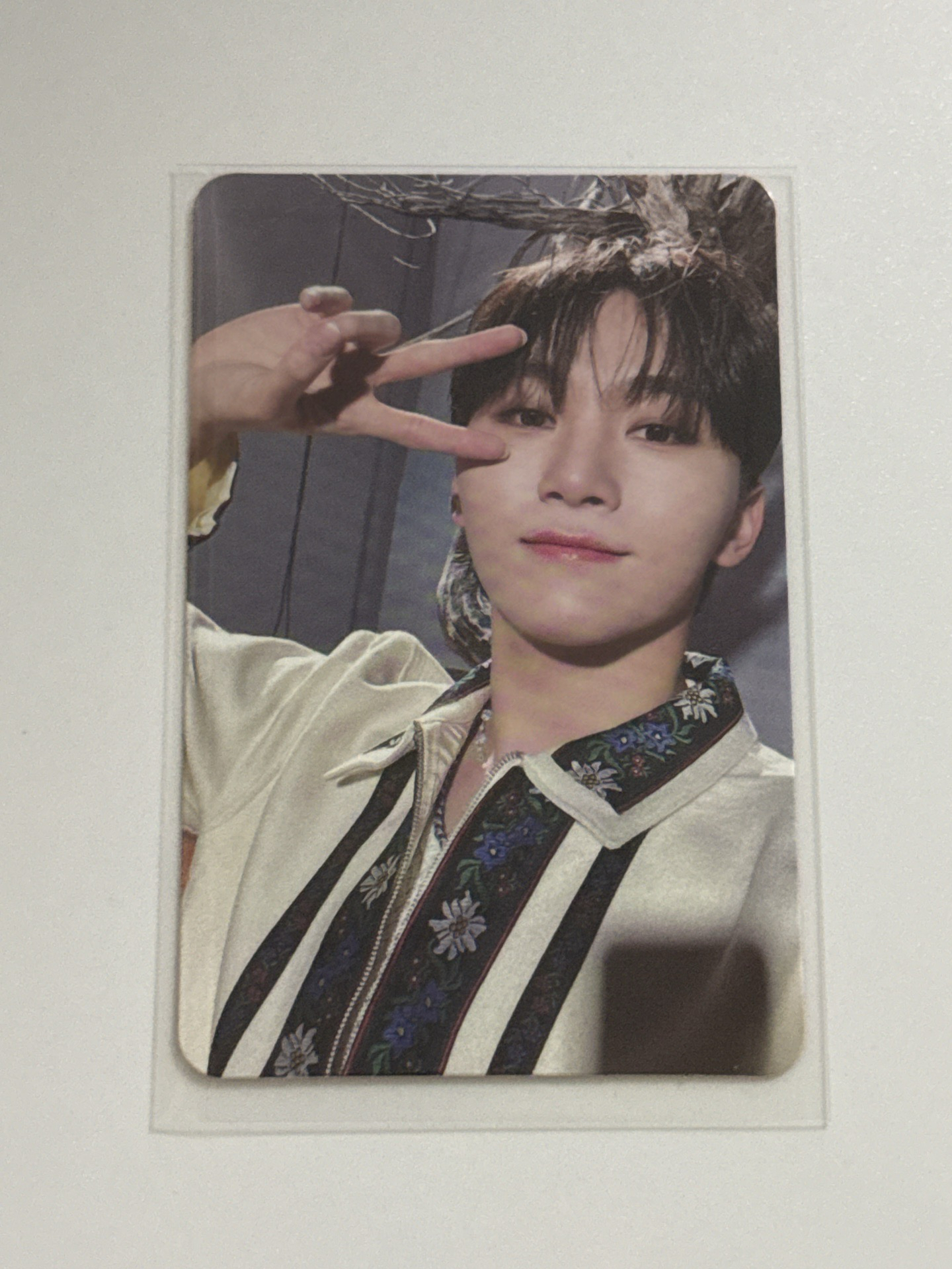 SVT 寛 正四 專卡