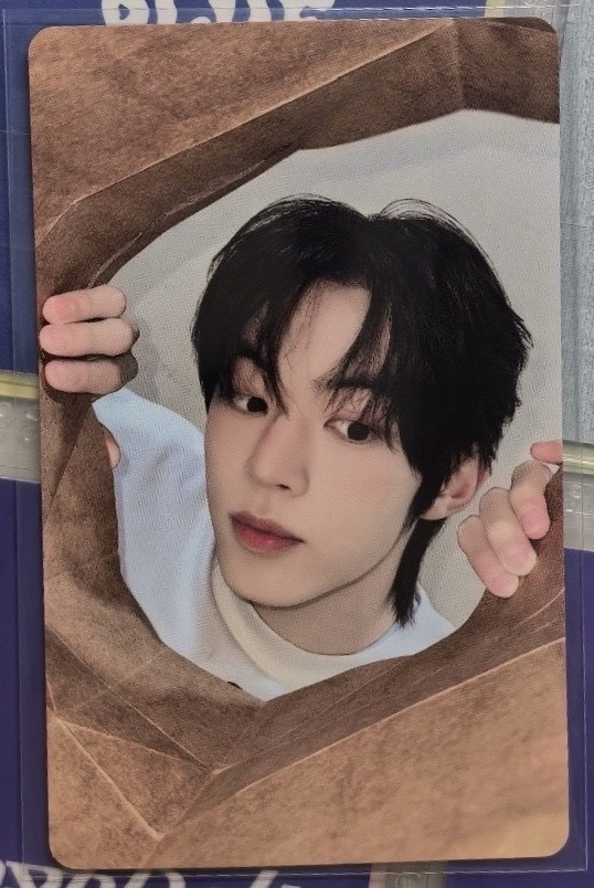 吐司 全勤一直娛 金道勳