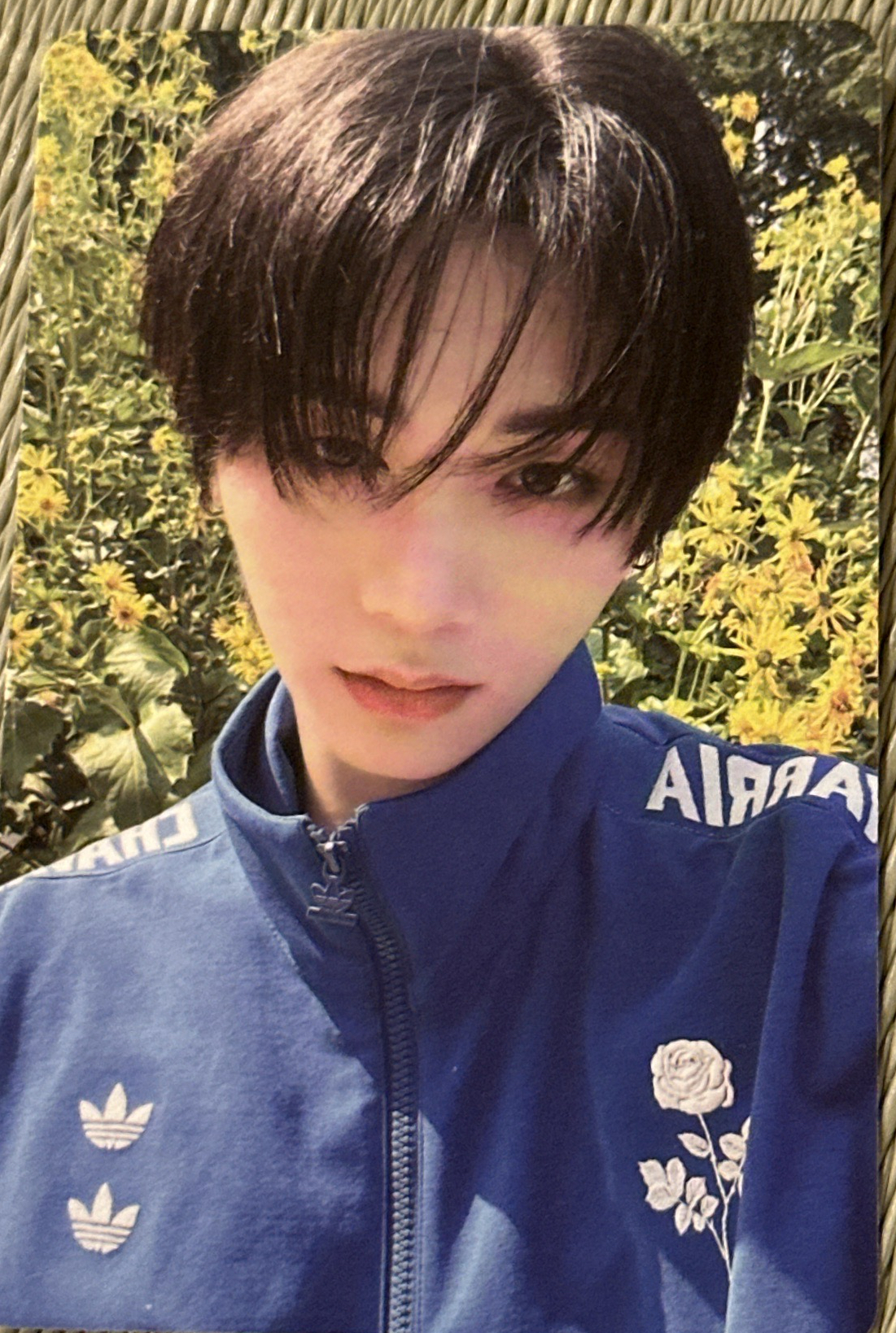 1️⃣2️⃣the action單封 專卡 泰山