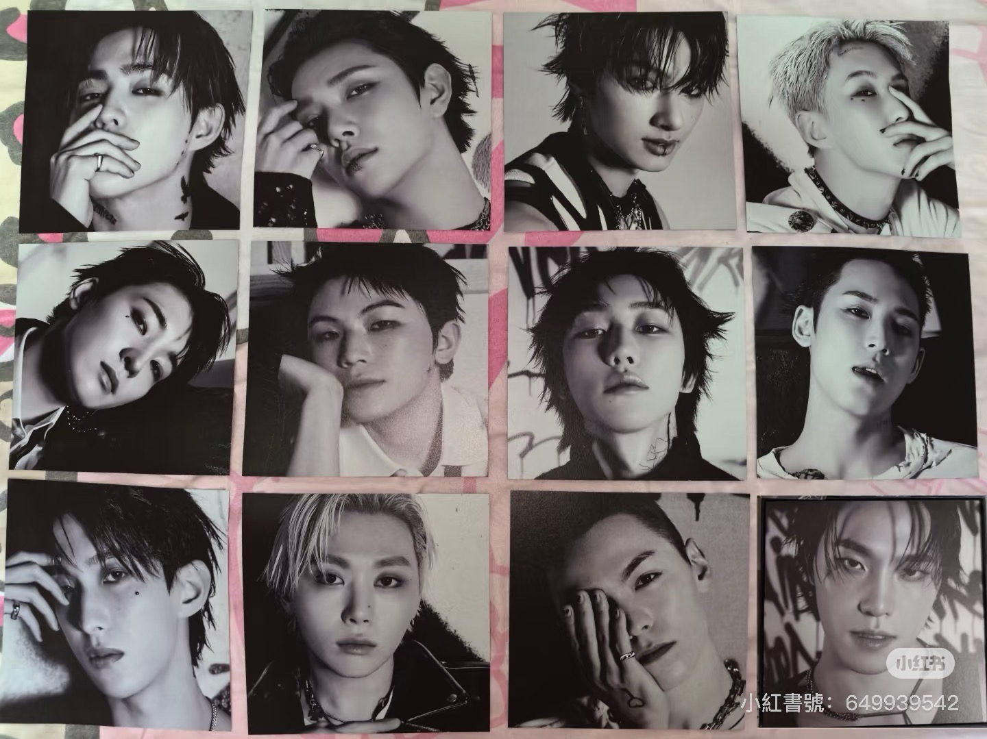 ✨正五克拉盤未拆專✨哲俊榮碩🍒🐱🐯🐶