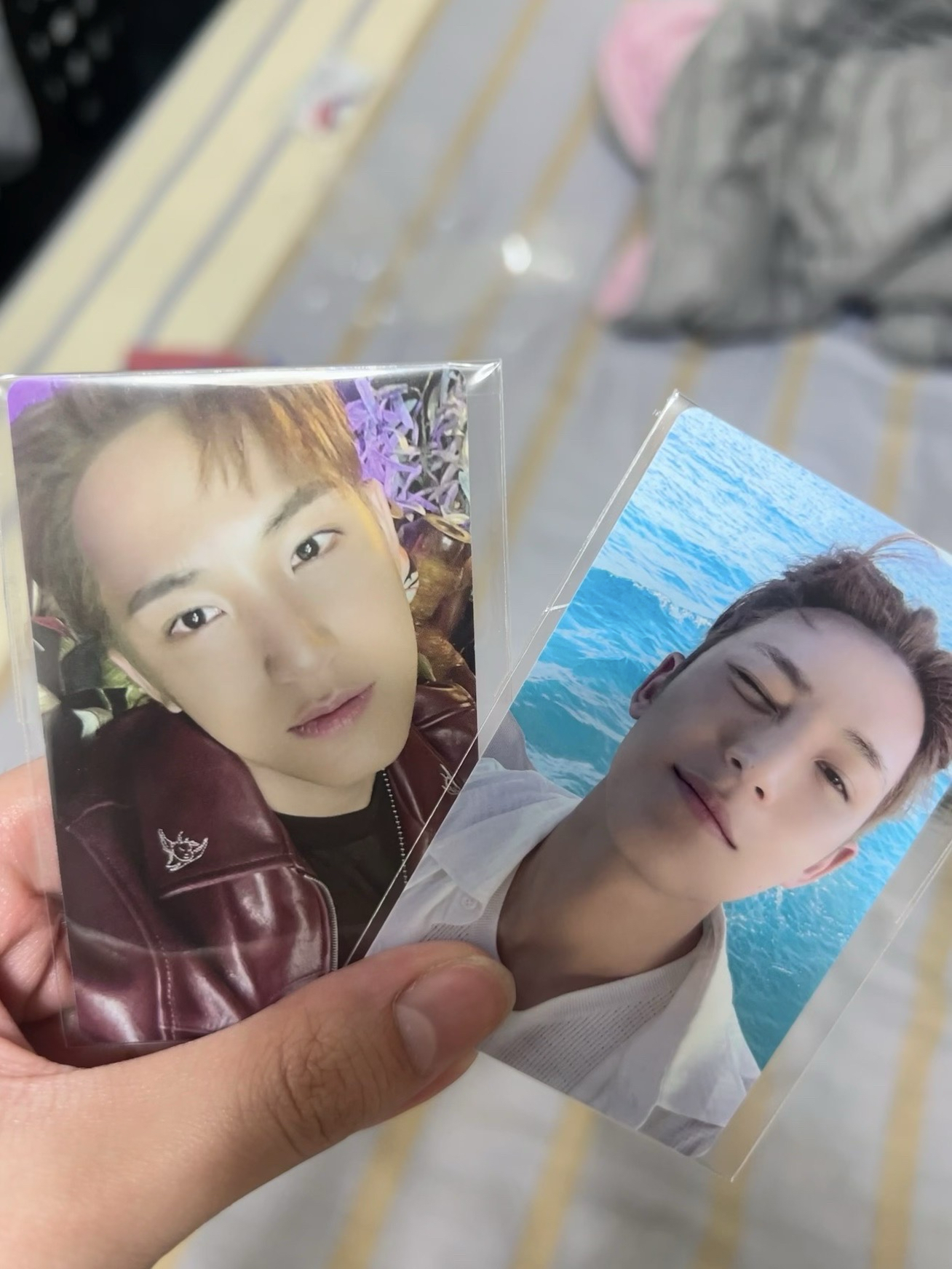 🐶CxM 奎視簽特典/wvs compact 特典