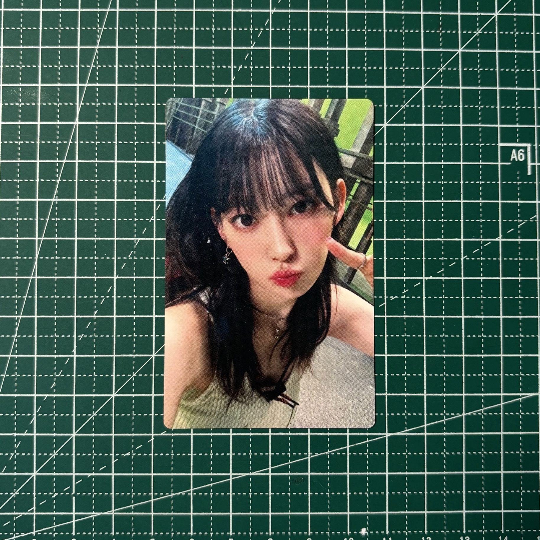 𓊆 櫻花日專卡 𓊇