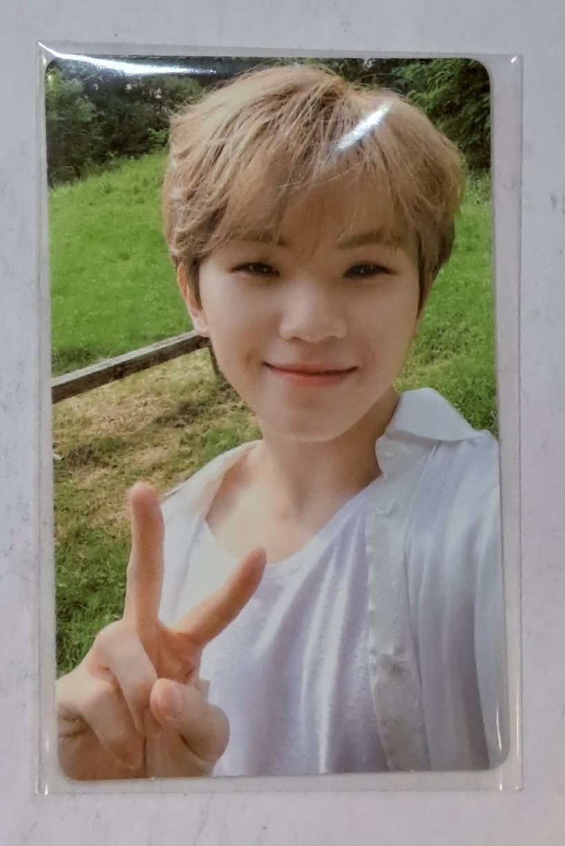 Social Club 寫真卡 Woozi