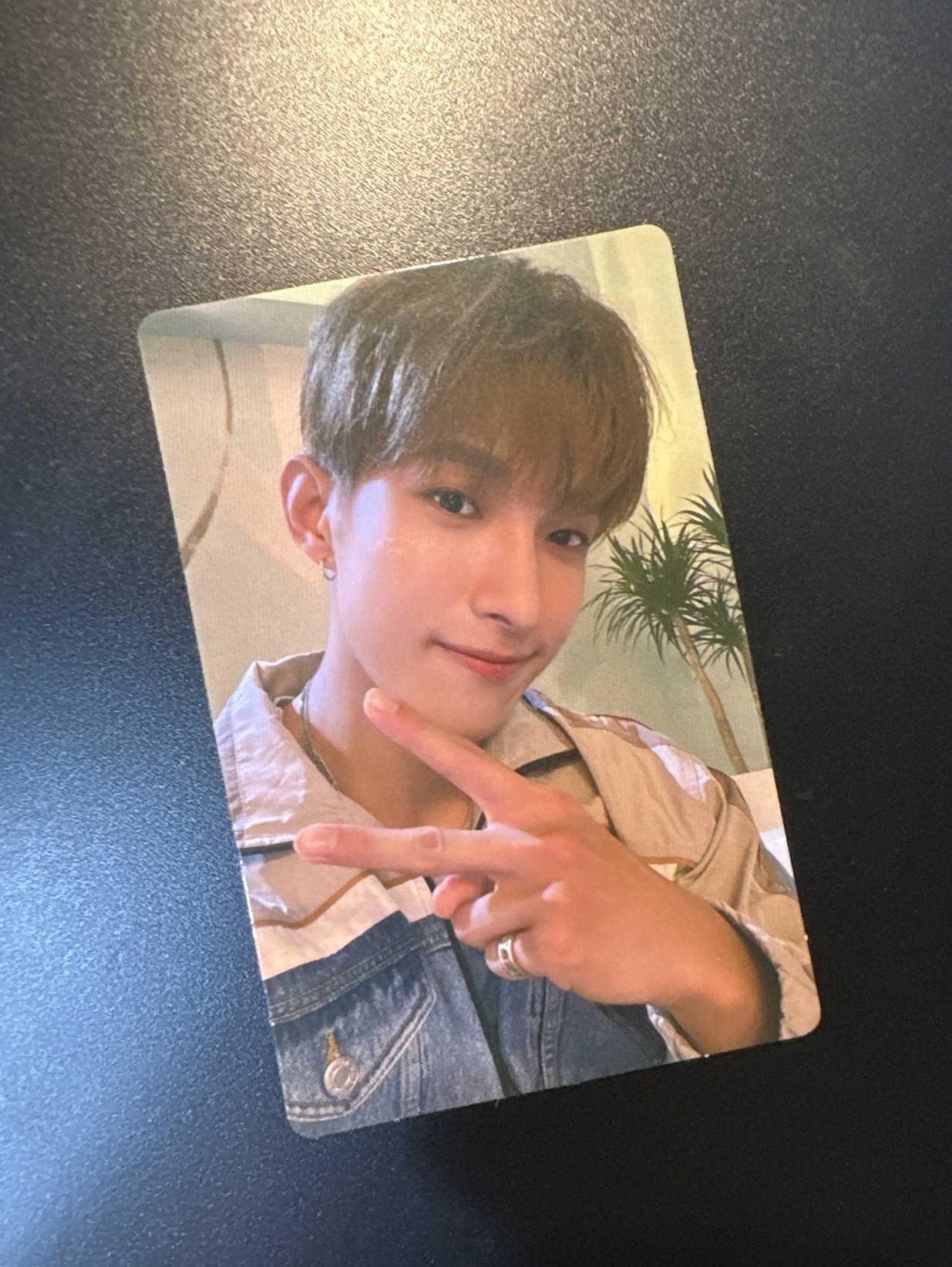 SEVENTEEN MINI9 CARAT VER.專輯卡-DK