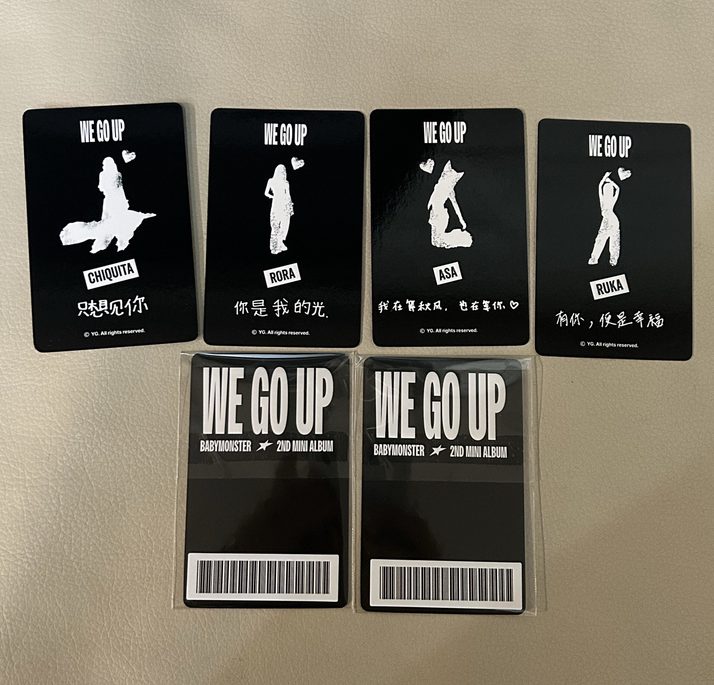 YG中區（中背）