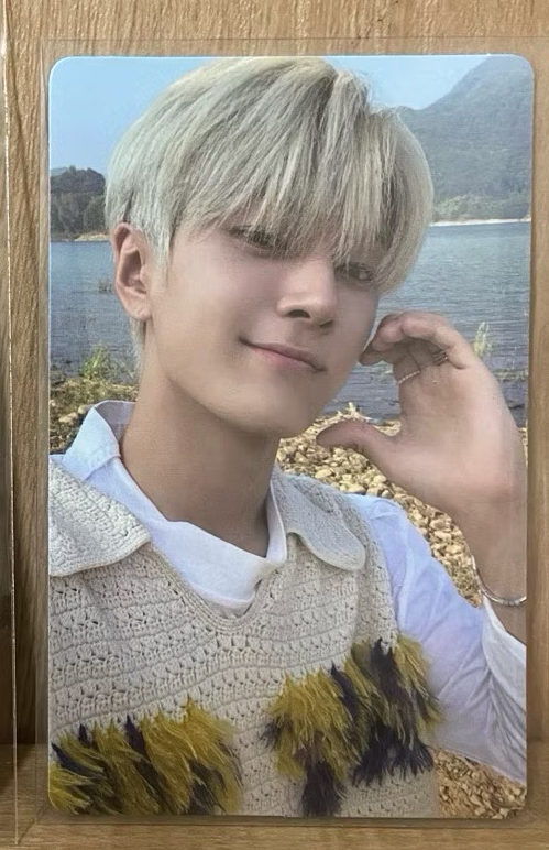 迷五 專卡 電子專卡