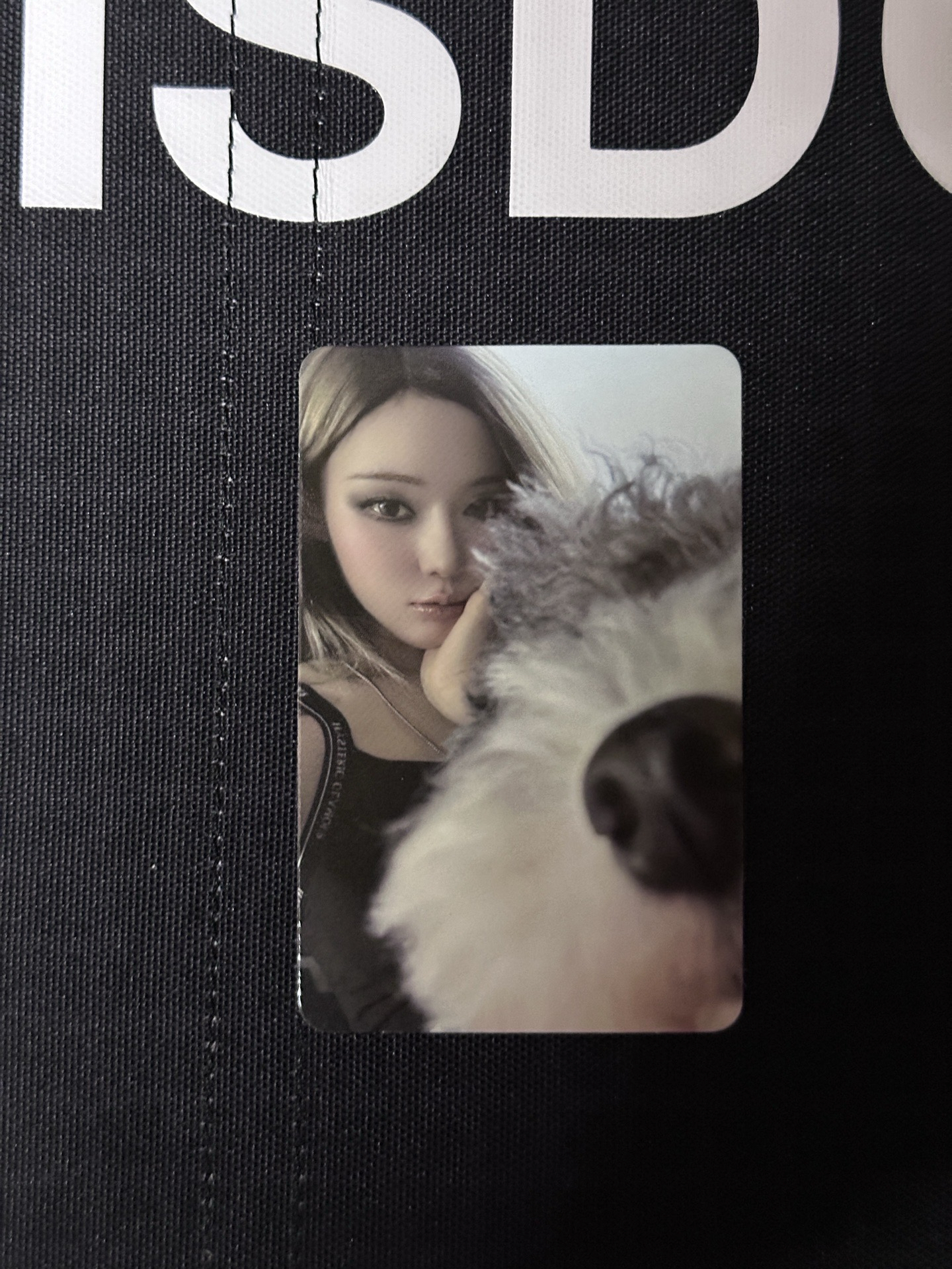 Rich Man 專輯卡 吉他專冬