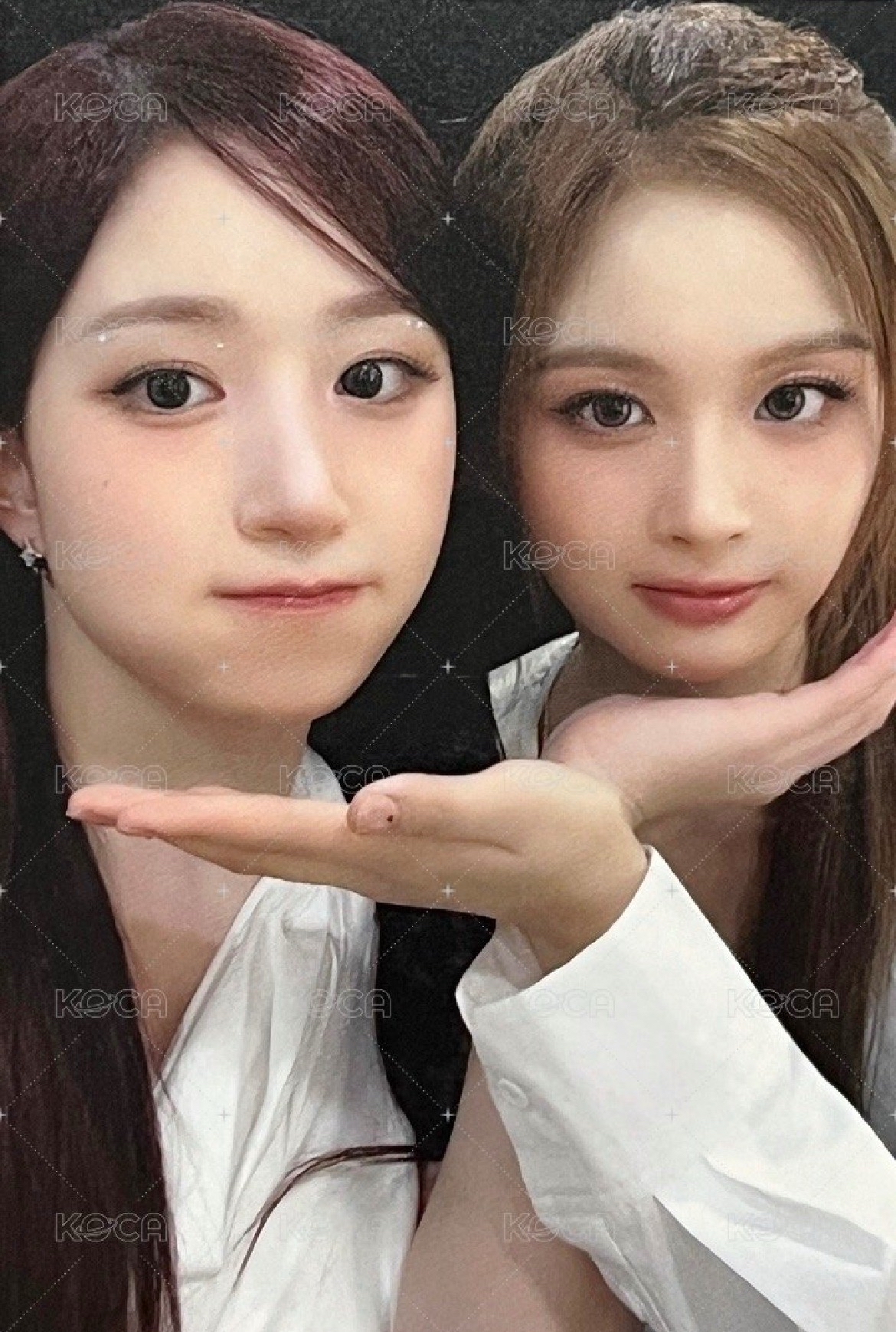 ms5.0阿貢包嫄薛