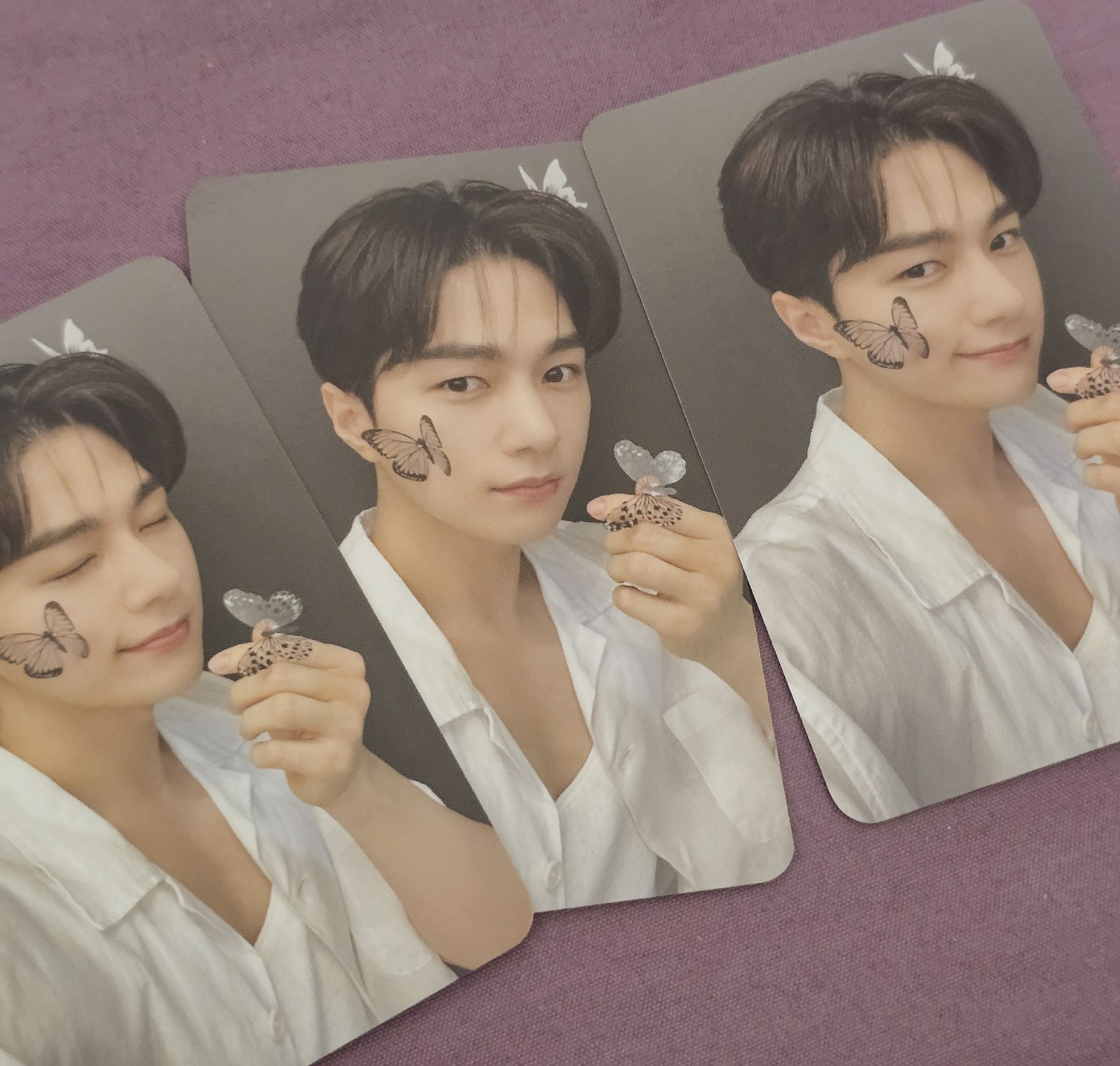 明洙｜請問這是蝴蝶嗎？