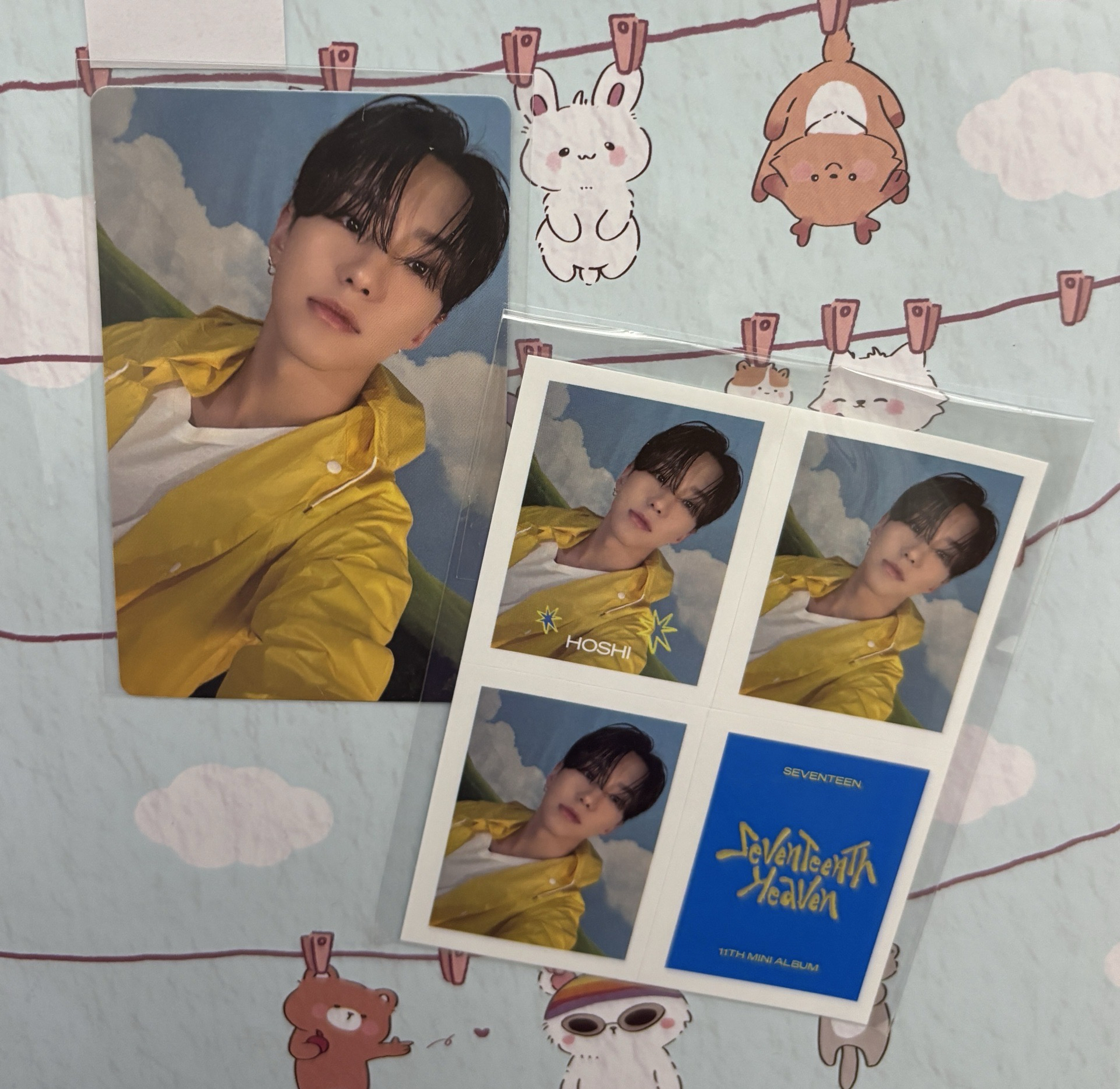 迷11 mini11 特典 carat ver. 榮🐯