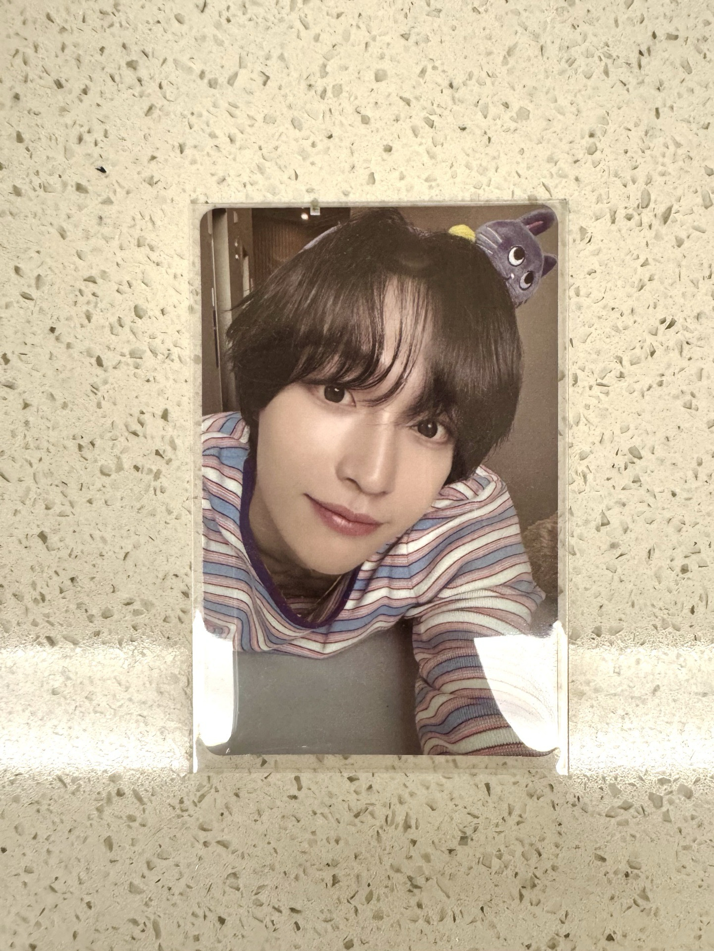 RIIZE 愛寶髮箍彬卡（含綁）