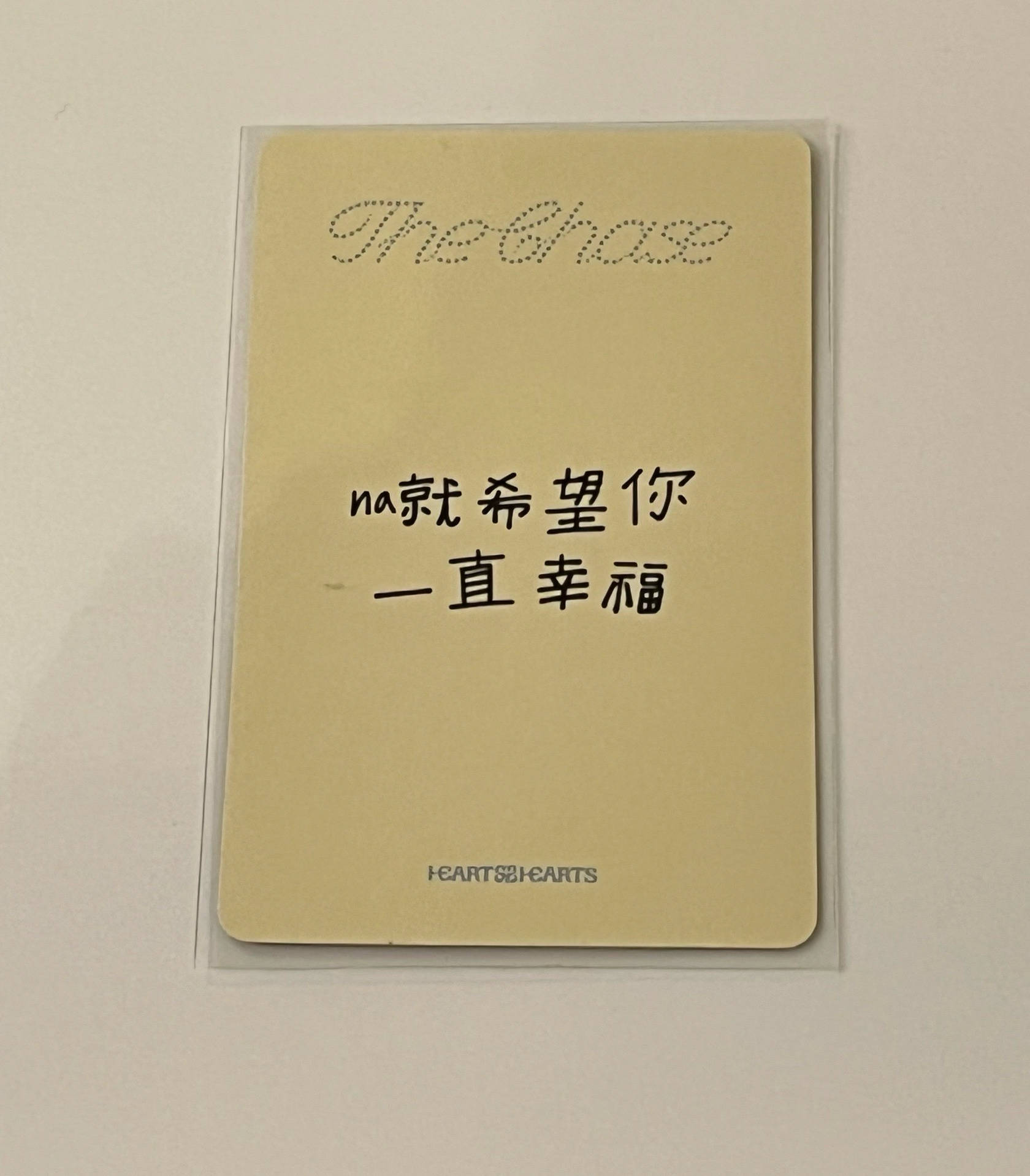 yzy 預售2.0 A-NA（中文卡背）