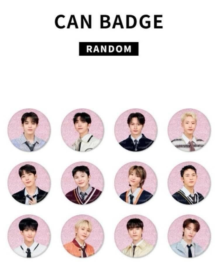 seventeen Hoilday 飯咪徽章已拆和未拆