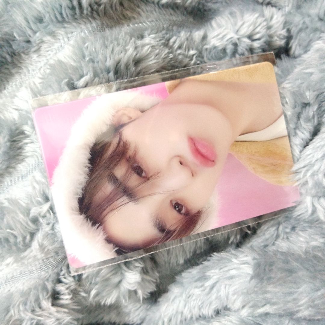 Dream 特典透卡哲 （綁100）