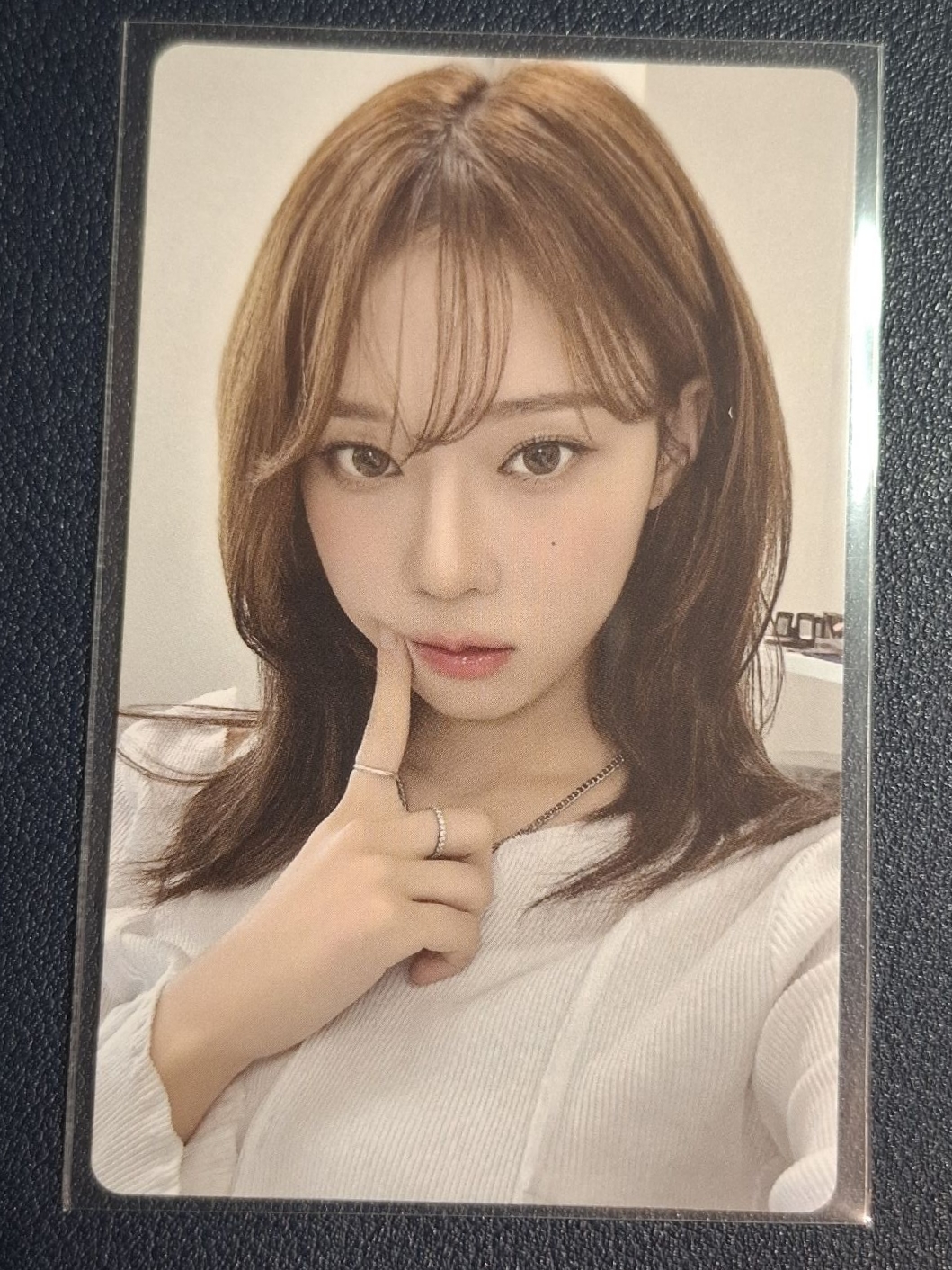 DVD演唱會回憶錄 電影卡 Winter