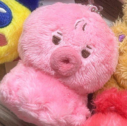 THE BOYZ金善旴娃、姓名牌