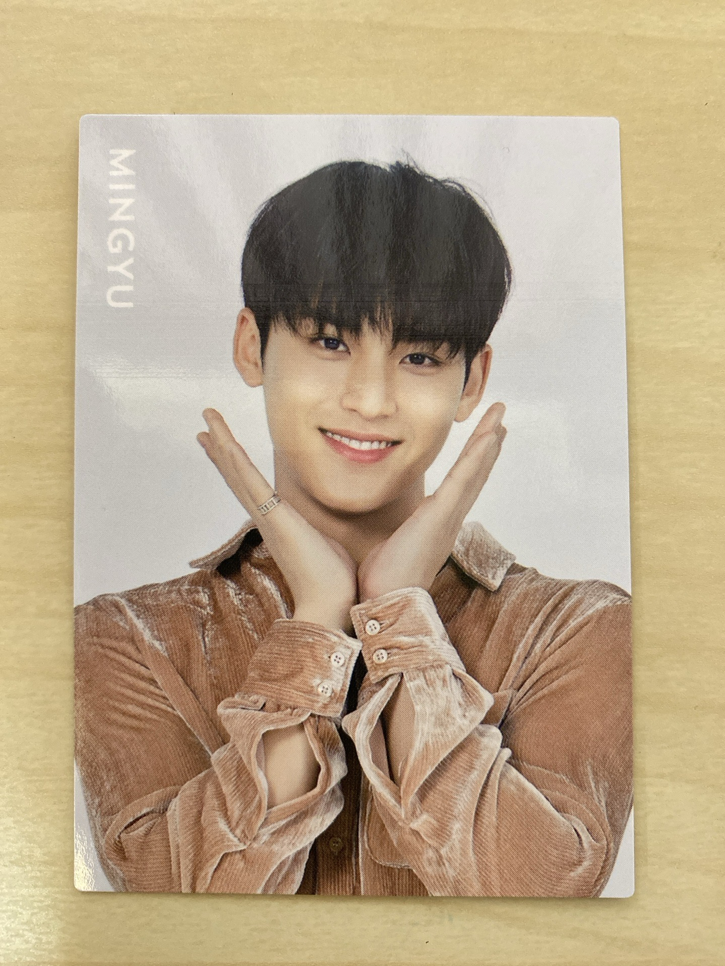 SEVENTEEN DOME TOUR ‘SVT’ 珉奎 隨機卡