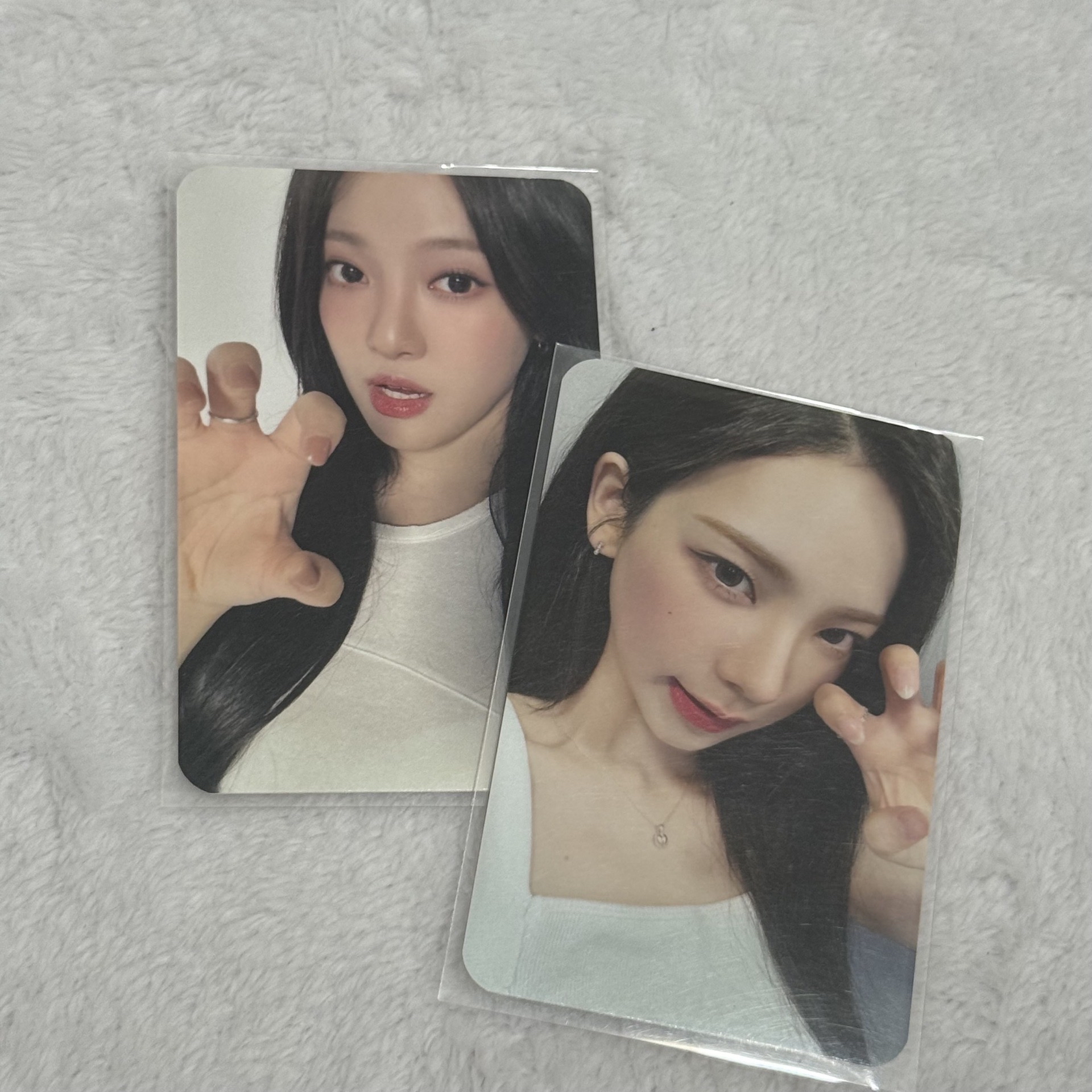 #potd展會入場卡 貓爪柚 貓爪寧