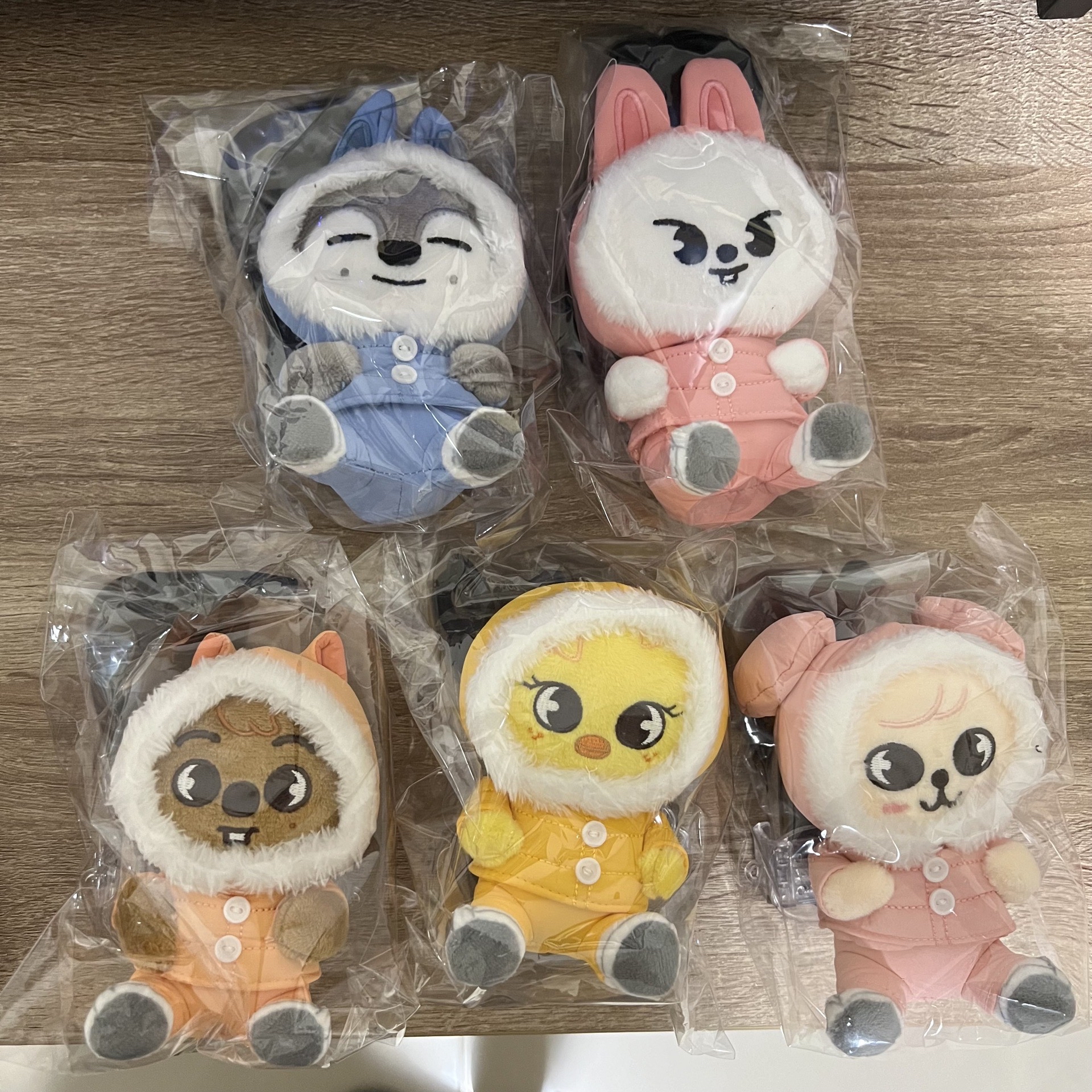 Stray kids日本 Dominate 事後通販 羽絨娃 手機支架 背帶 掛繩