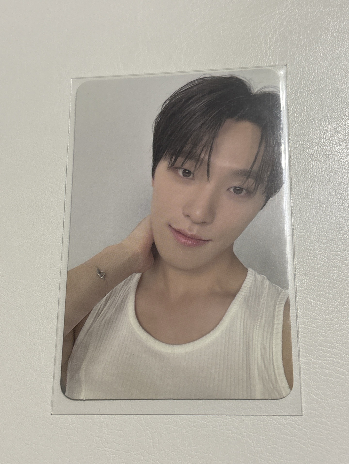 DINO 親愛盤專卡