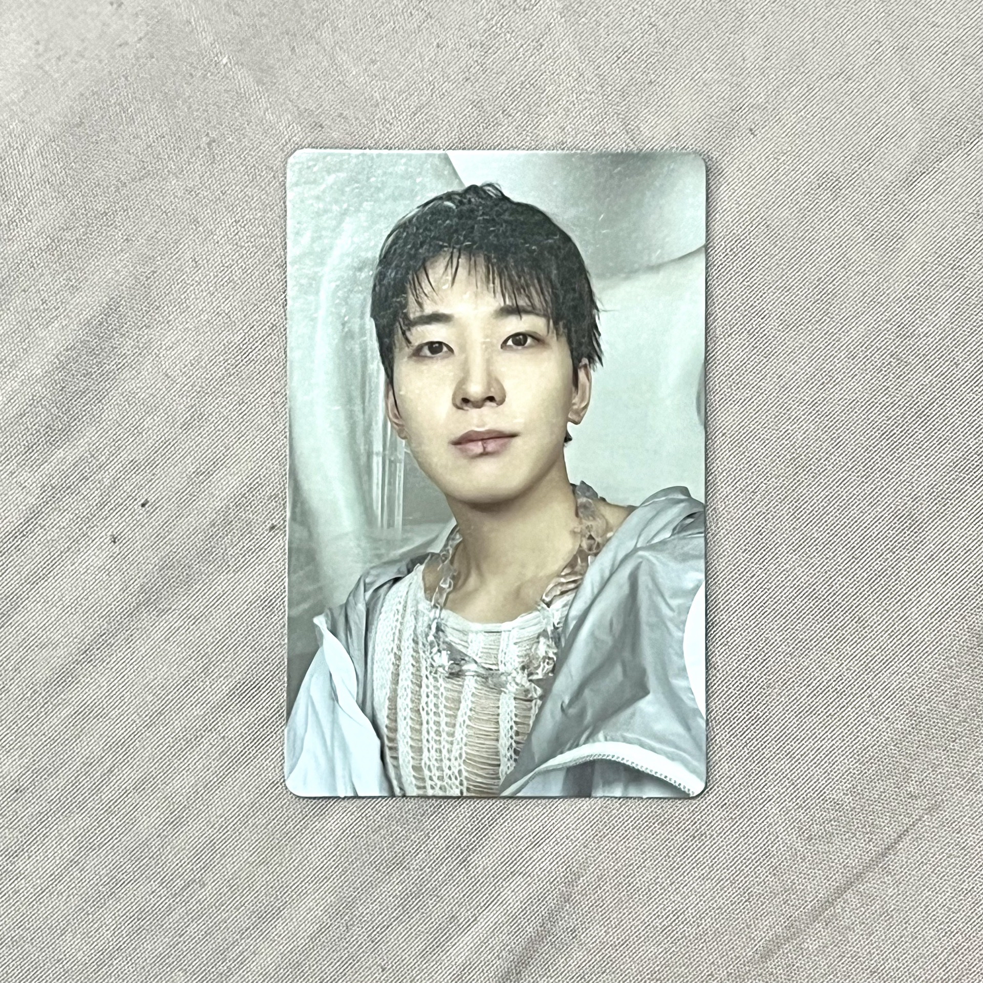 正五 綠版專卡圓