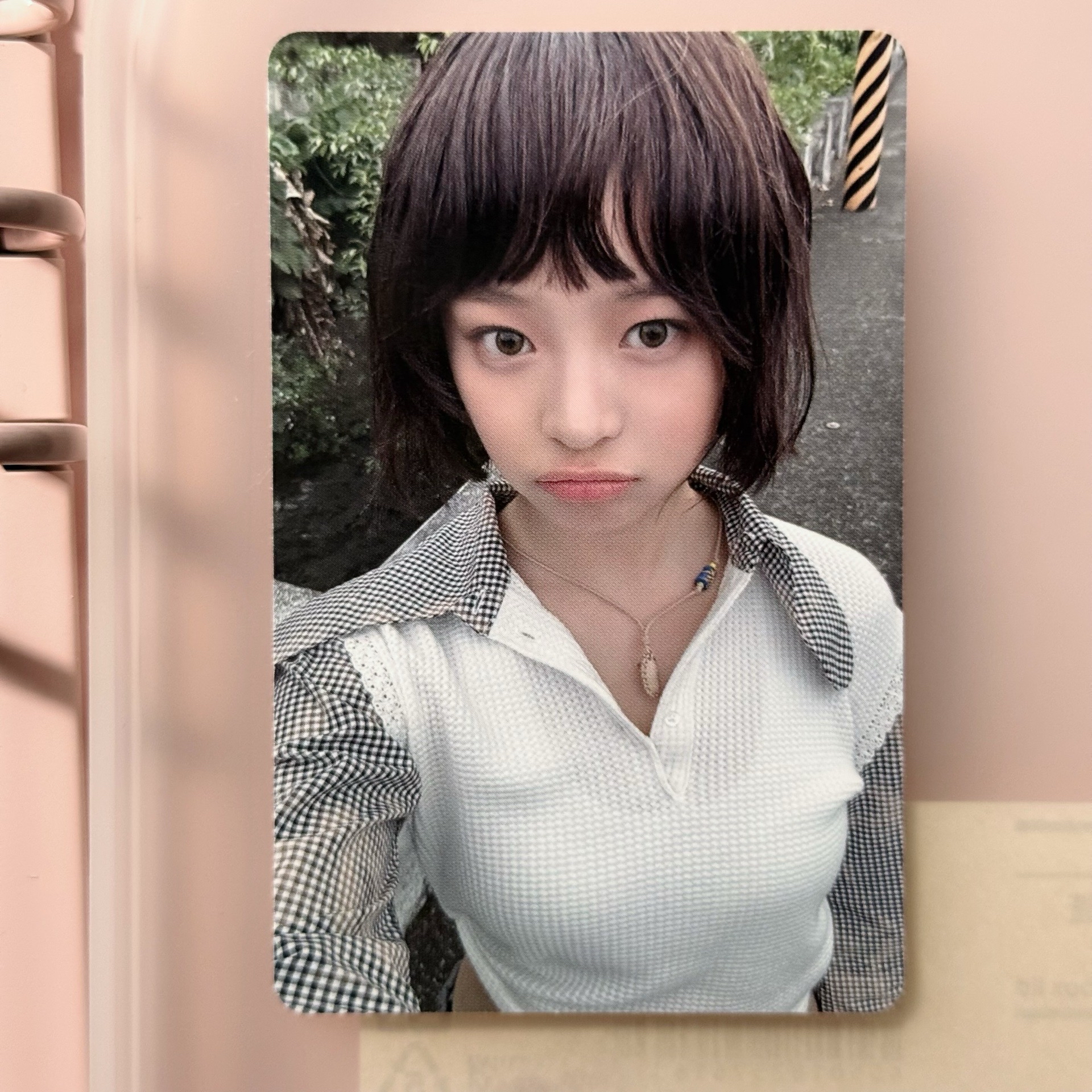 Hanni 快閃卡包卡