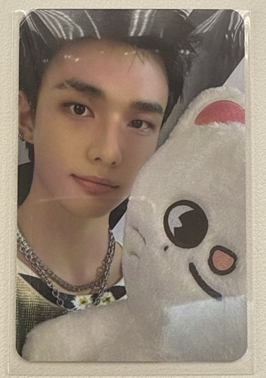 世巡安可快閃店 線下 滿額卡 辰