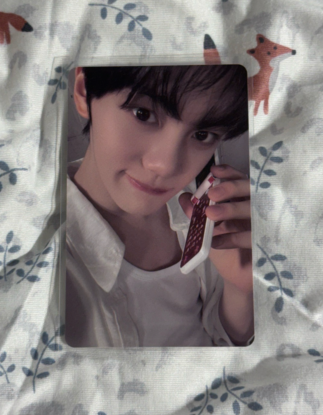 MD滿額可愛小奎