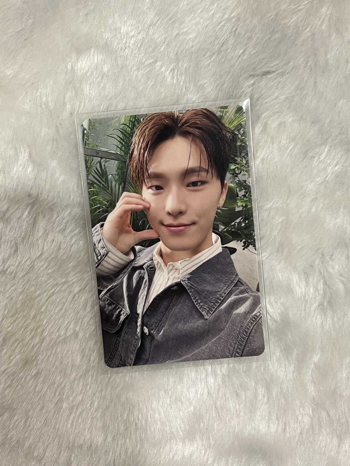 消費期限專卡 李燦