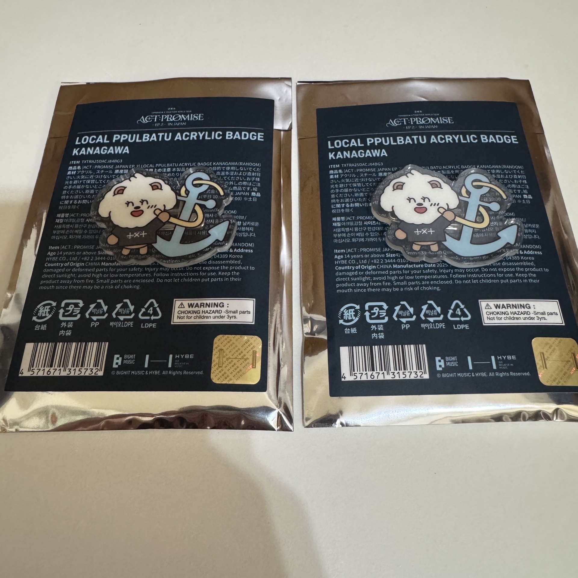 TXT 日巡 EP2 角巴兔 徽章