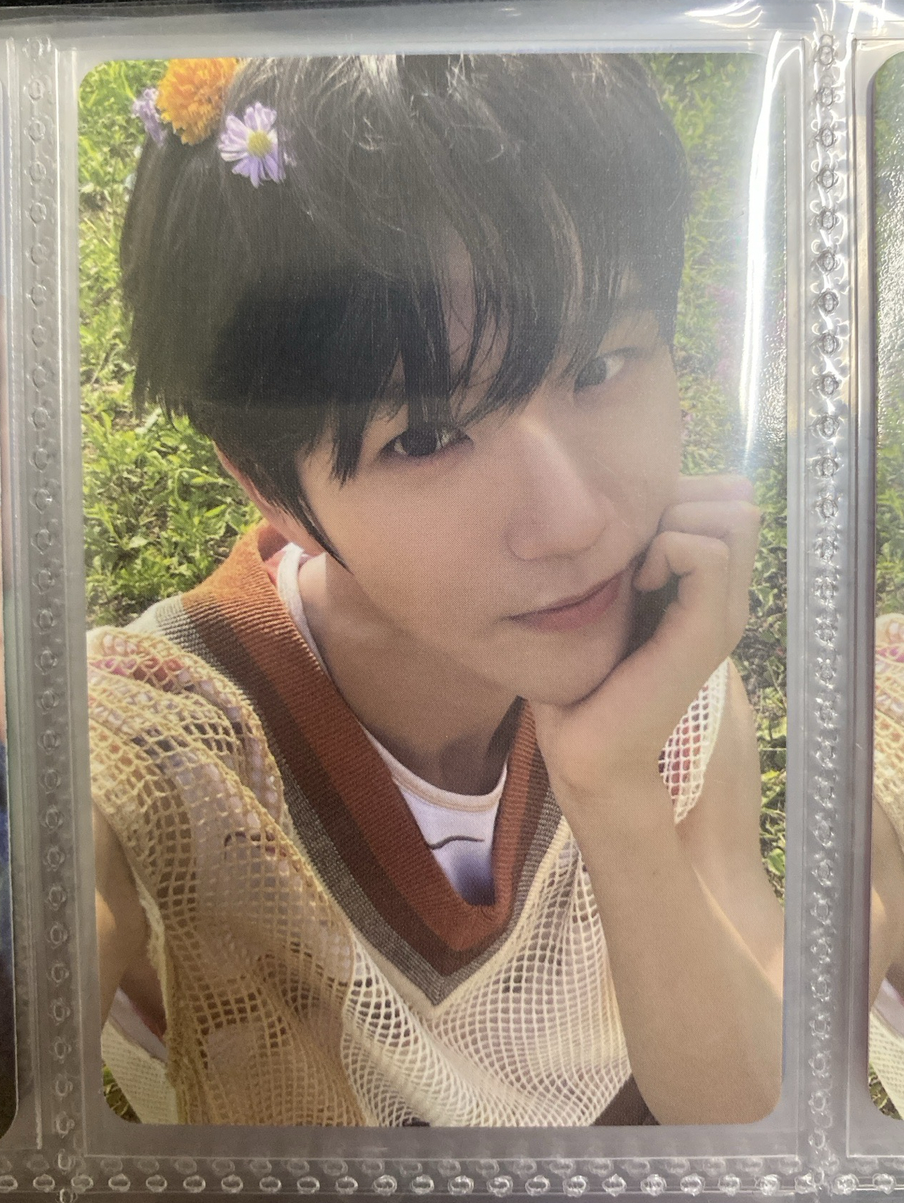 金栽禧 COLOR PB版專卡