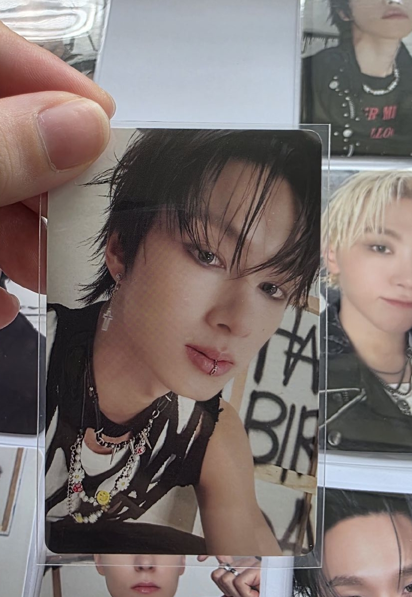 正五克拉盤 隨機卡