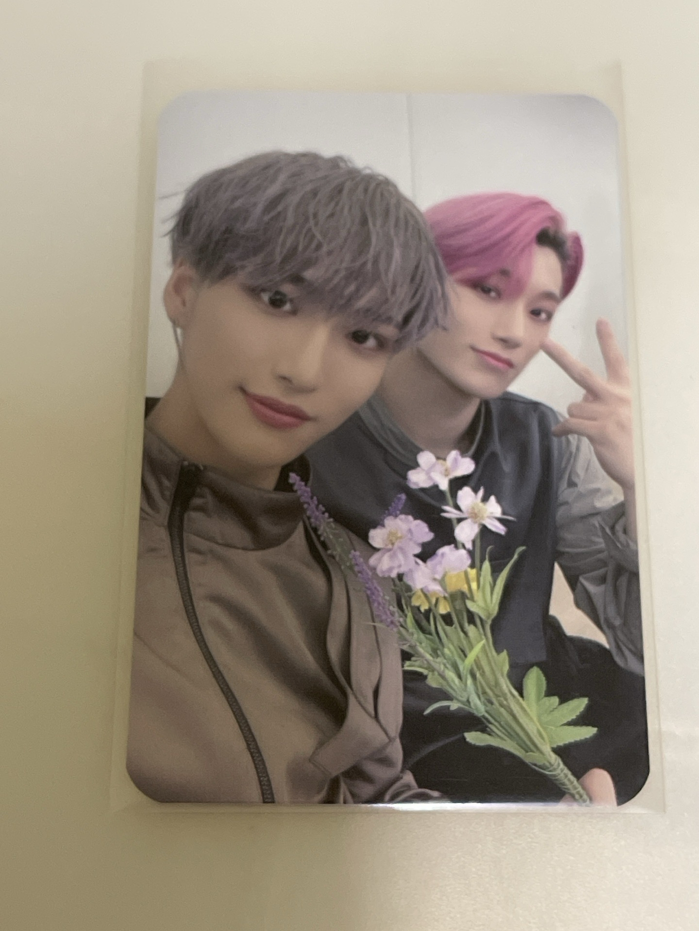 星和 崔傘 特典卡 星傘雙人卡