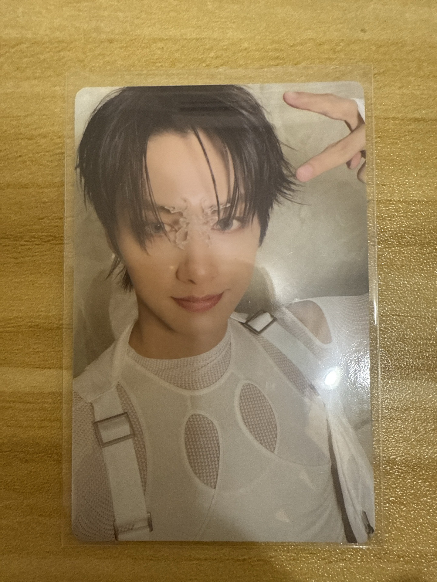 俊 正五 專輯卡