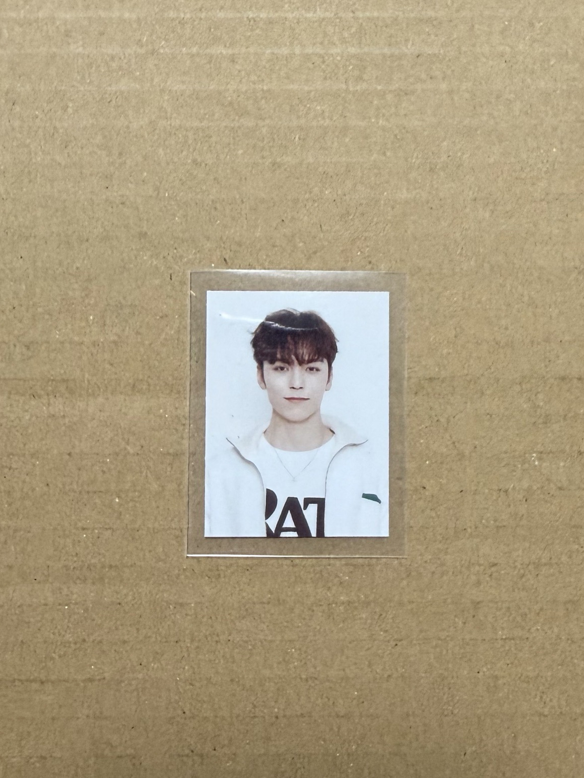 SEVENTEEN Vernon七期會員卡禮 證件照