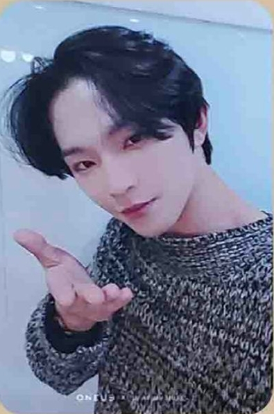 MALUS DMM 線上 5.0