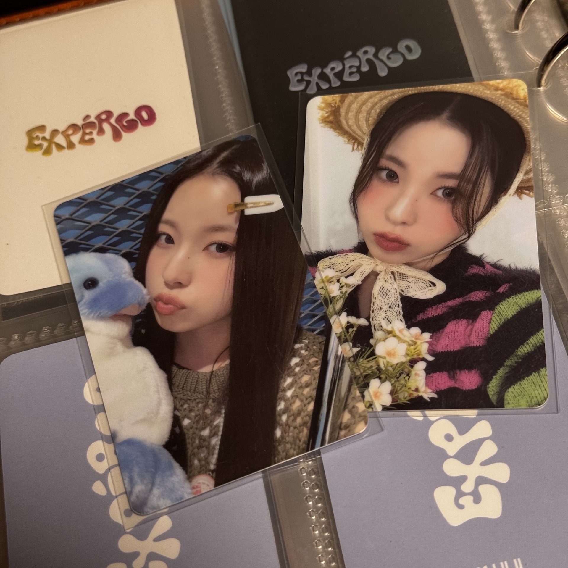 expérgo ms幸運卡 海豚+草帽