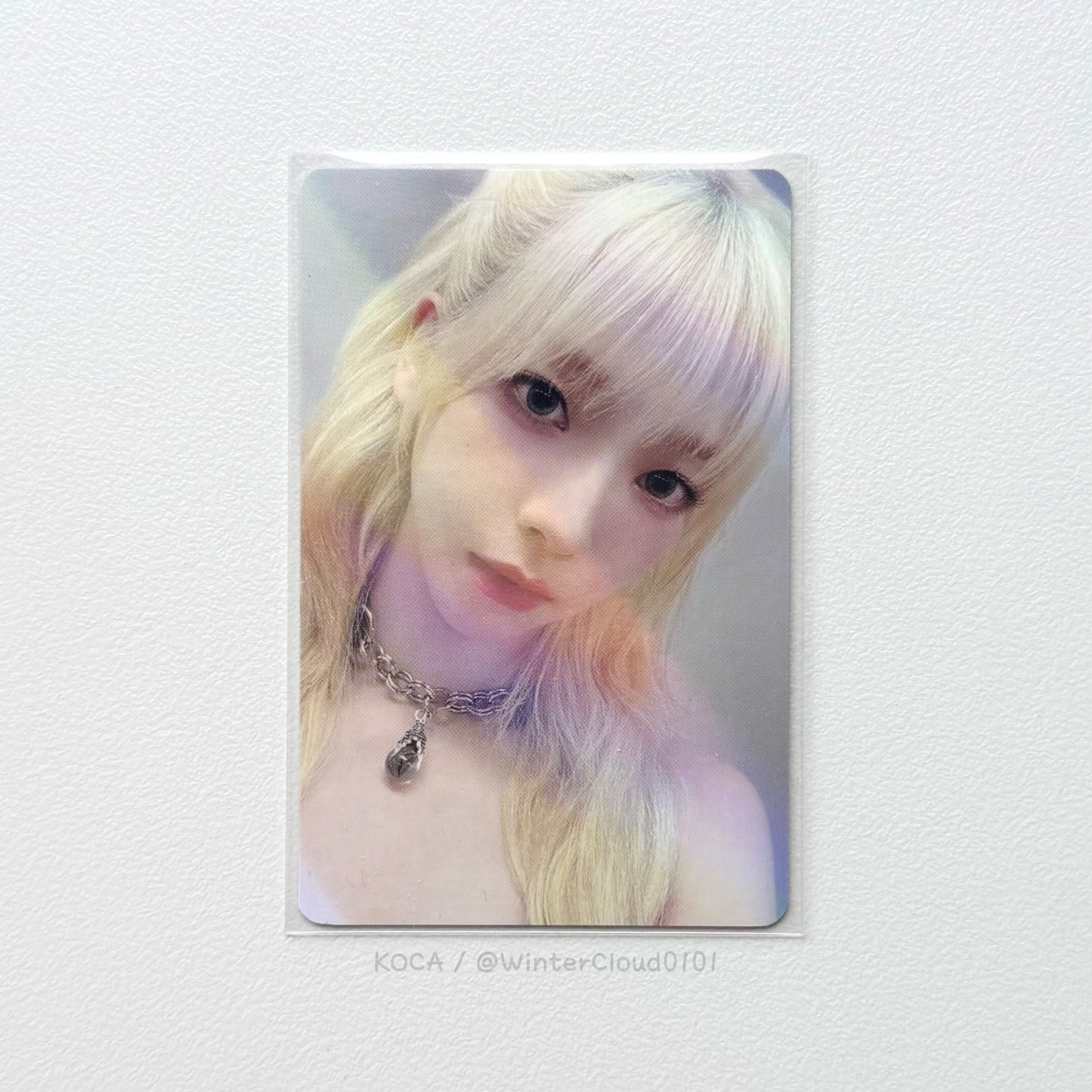 My World MS預售柚