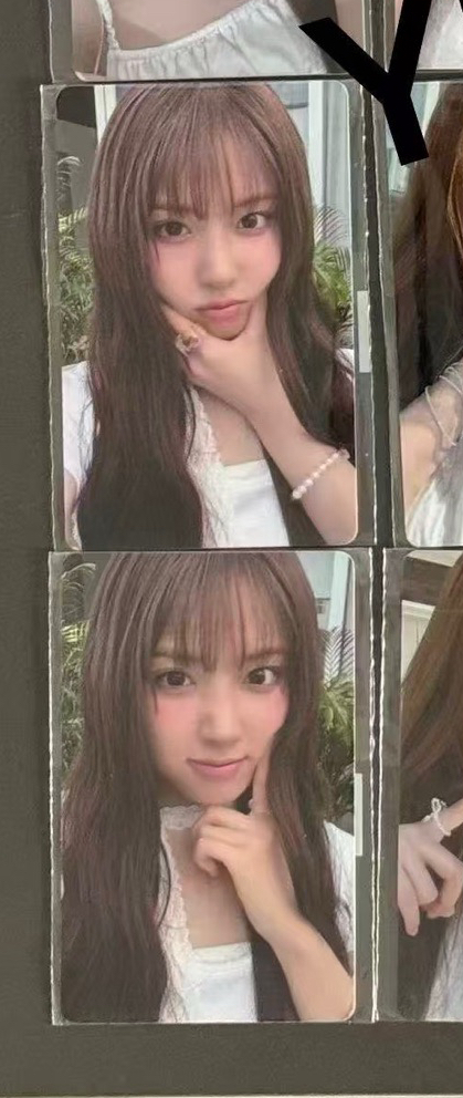 友兩張