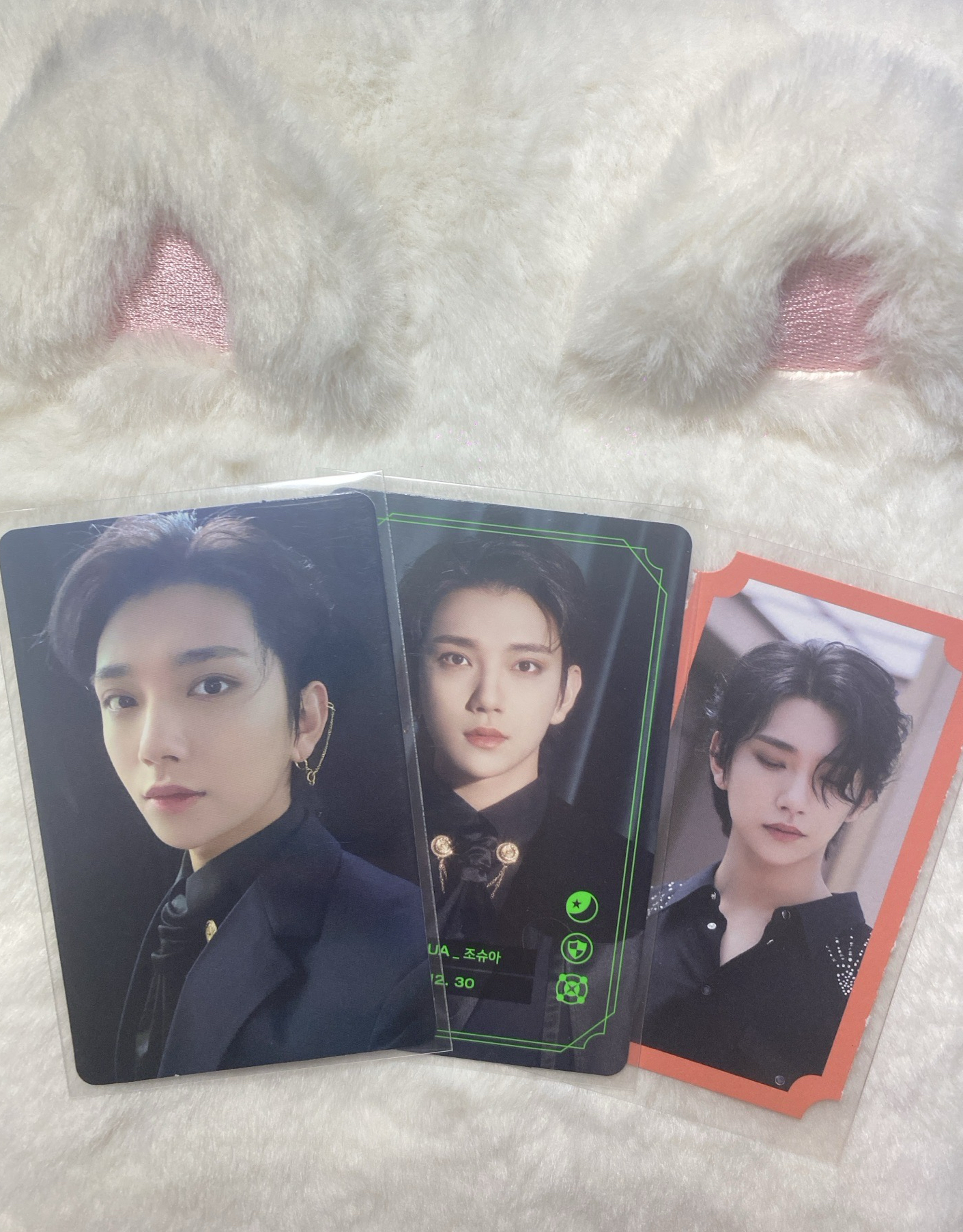 洪知秀會員禮卡