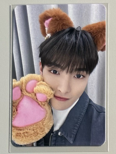 MS 貓貓+瞎妹捧臉