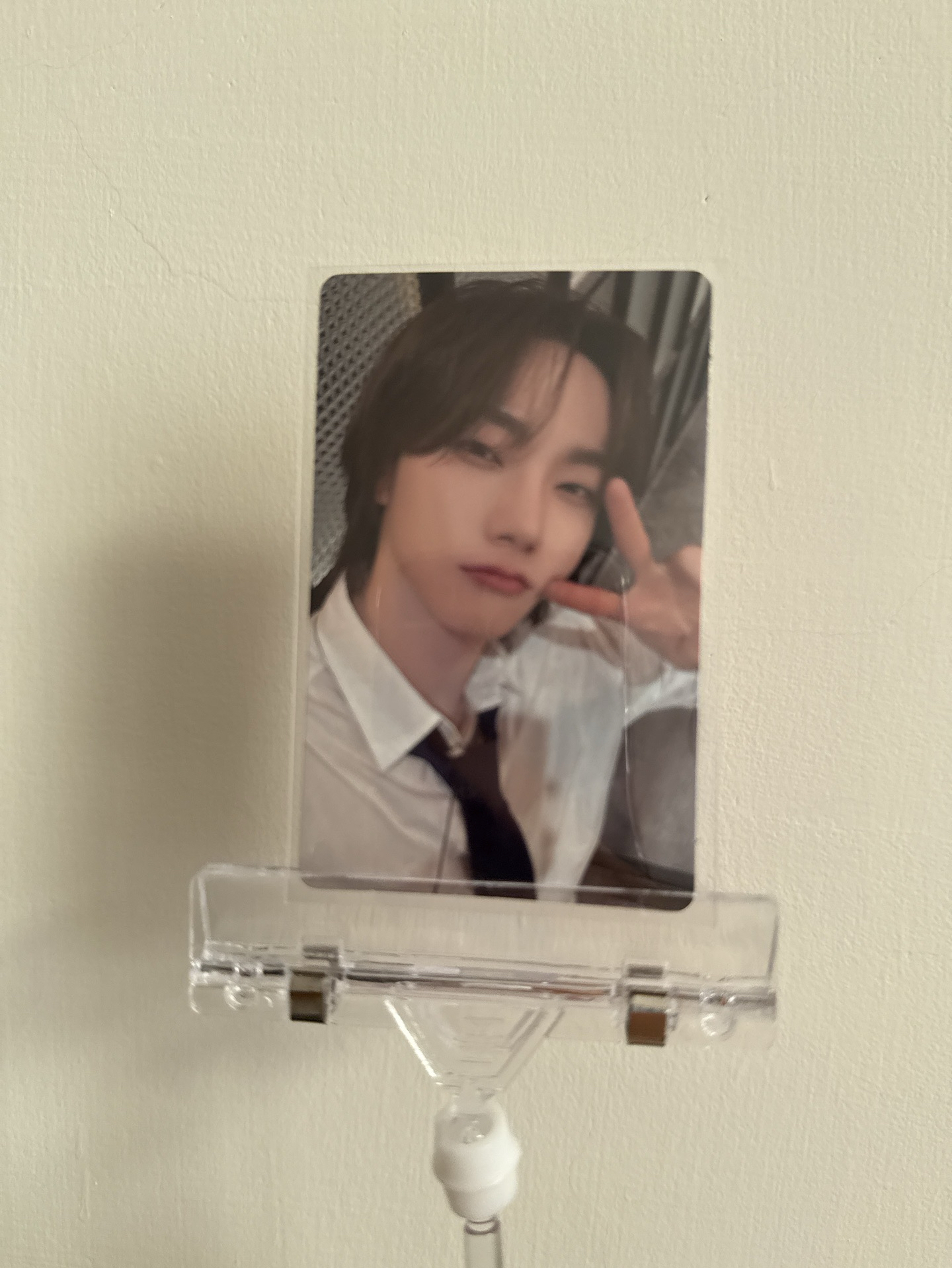 朴成淏 19.99 wvs 特典卡