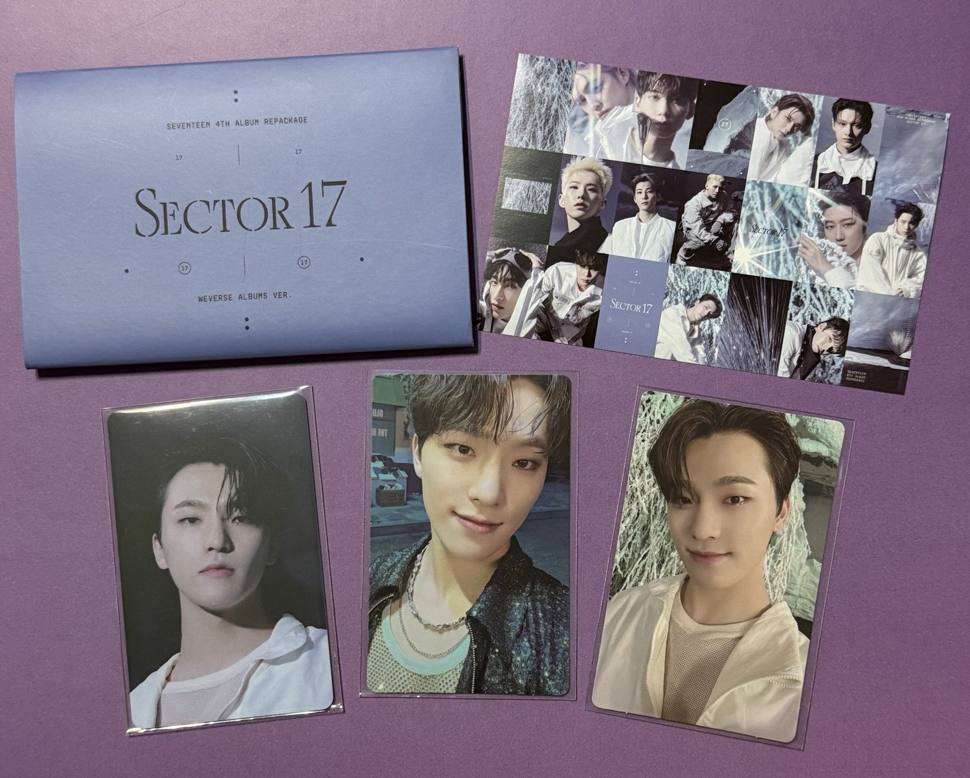 SECTOR 17 電子專 DINO