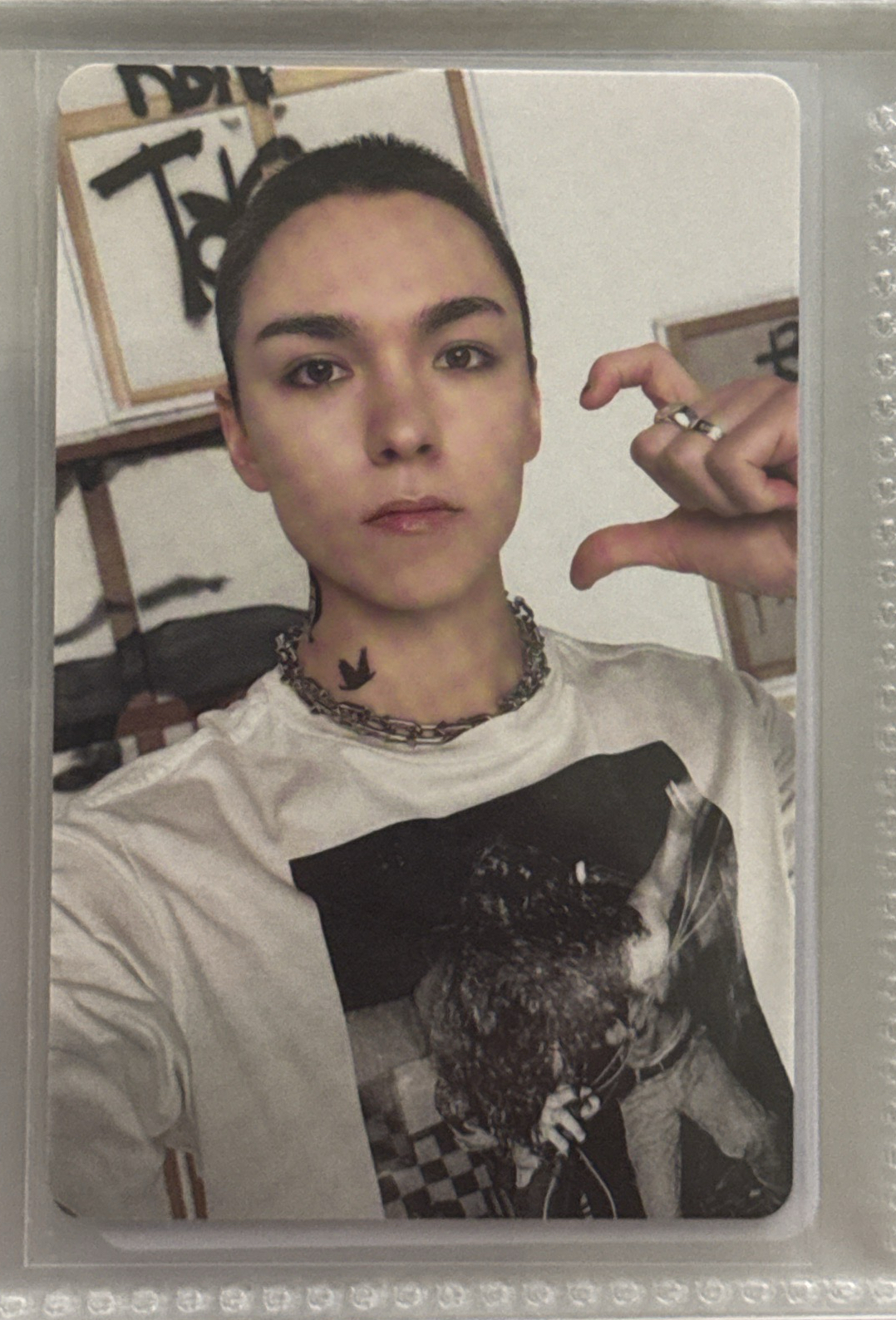 💛SVT 率 正規五克拉盤