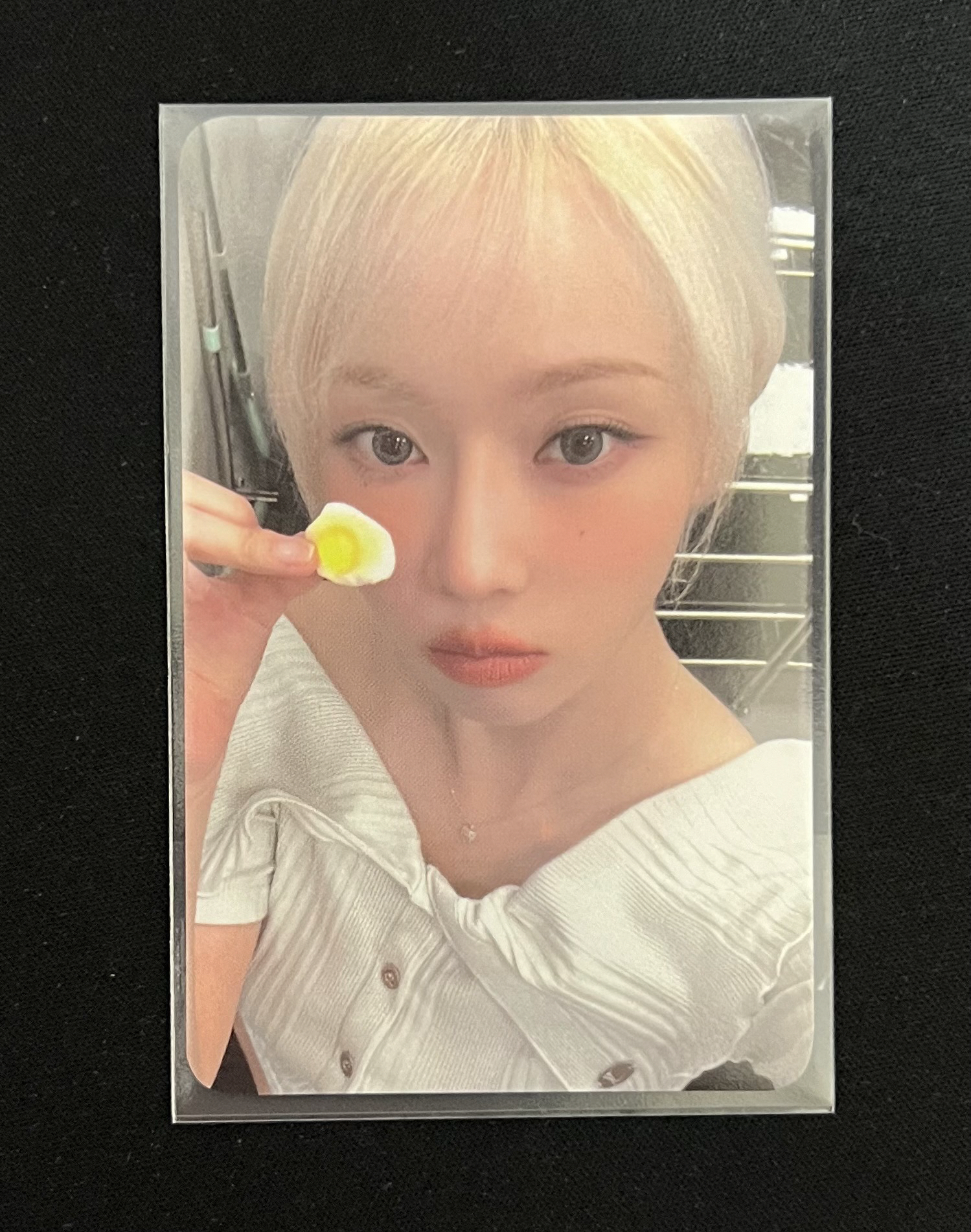 正規一 k4 簽售卡 簽售冬