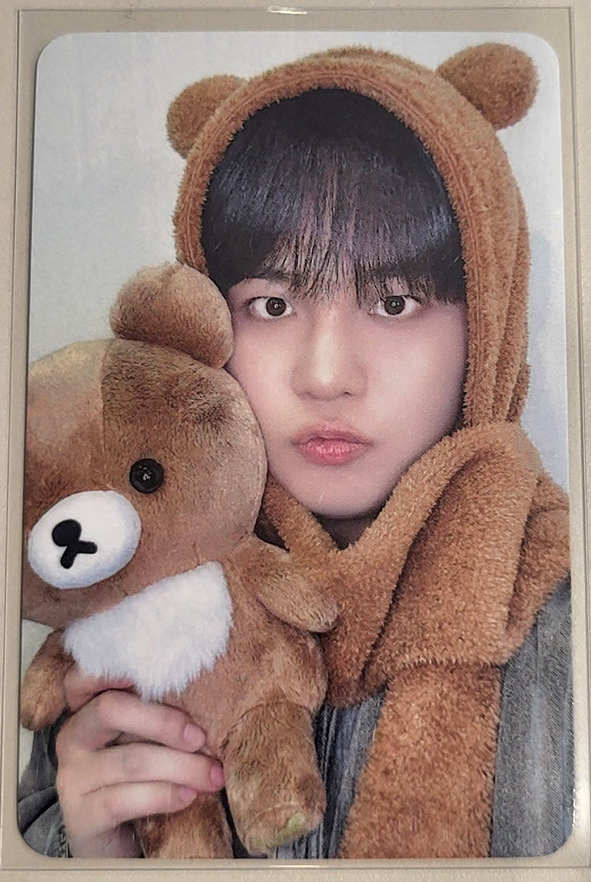 ATEEZ 鍾浩 GH3 HL 蜜茶熊 簽售卡