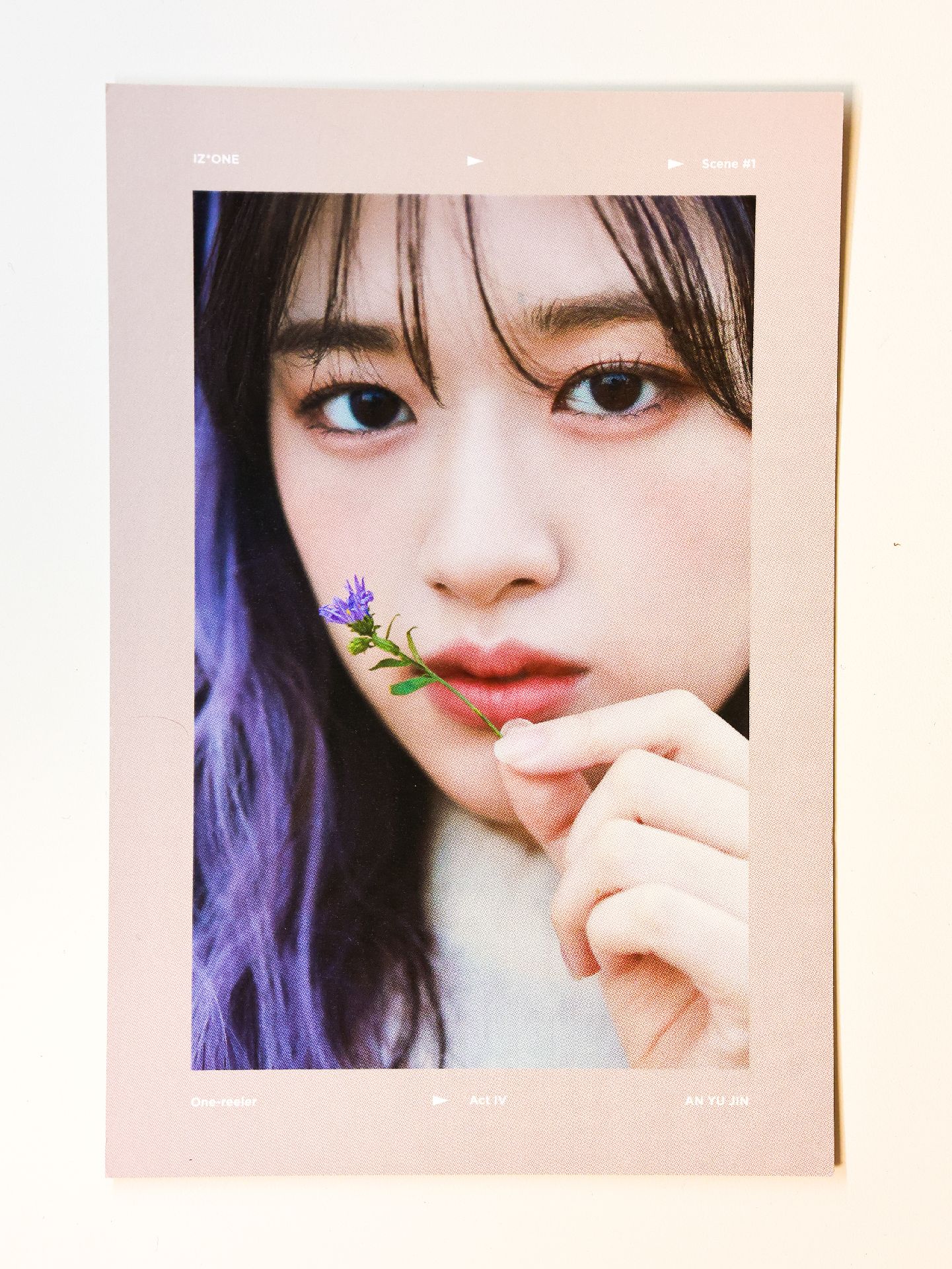IZ*ONE 安 相卡明信片