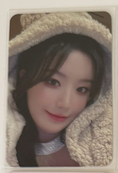 正規二 Sr4.0 小熊刷