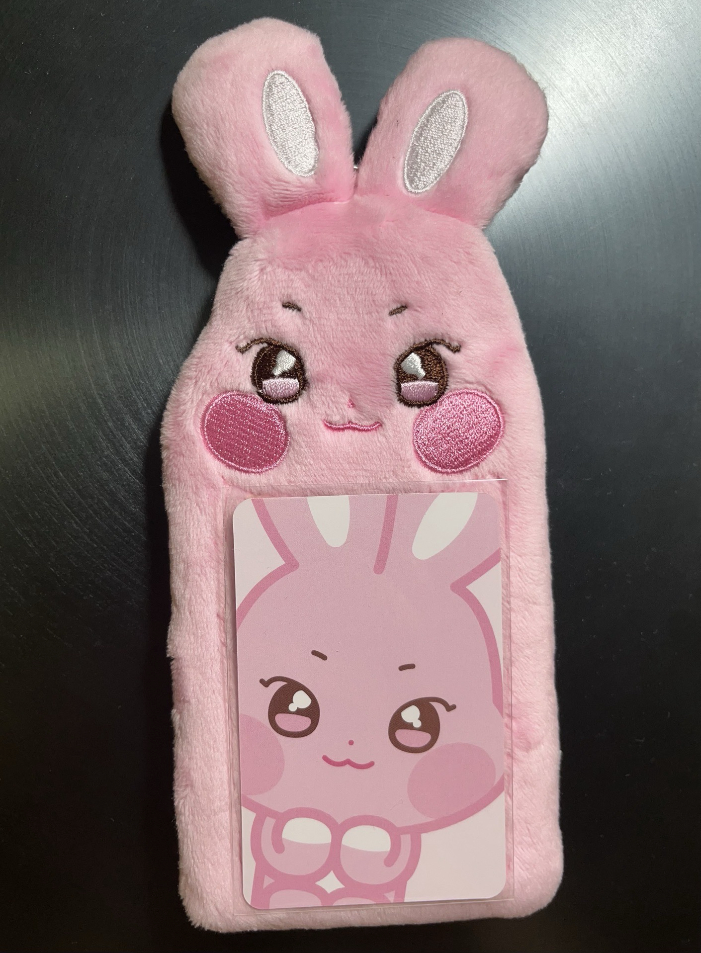 ANITEEZ in Ice City 咚星 絨毛卡套