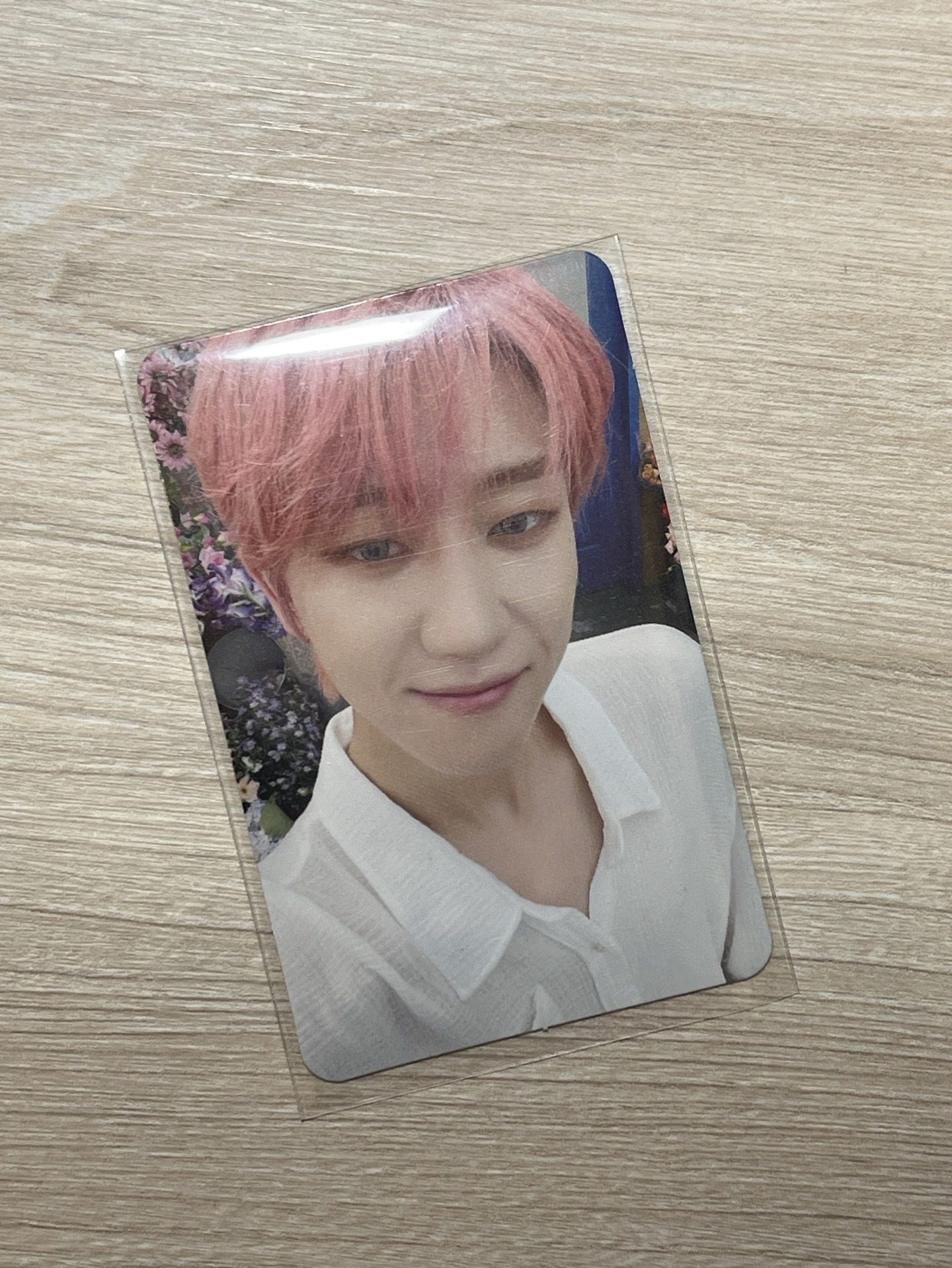 正四後續 粉髮八